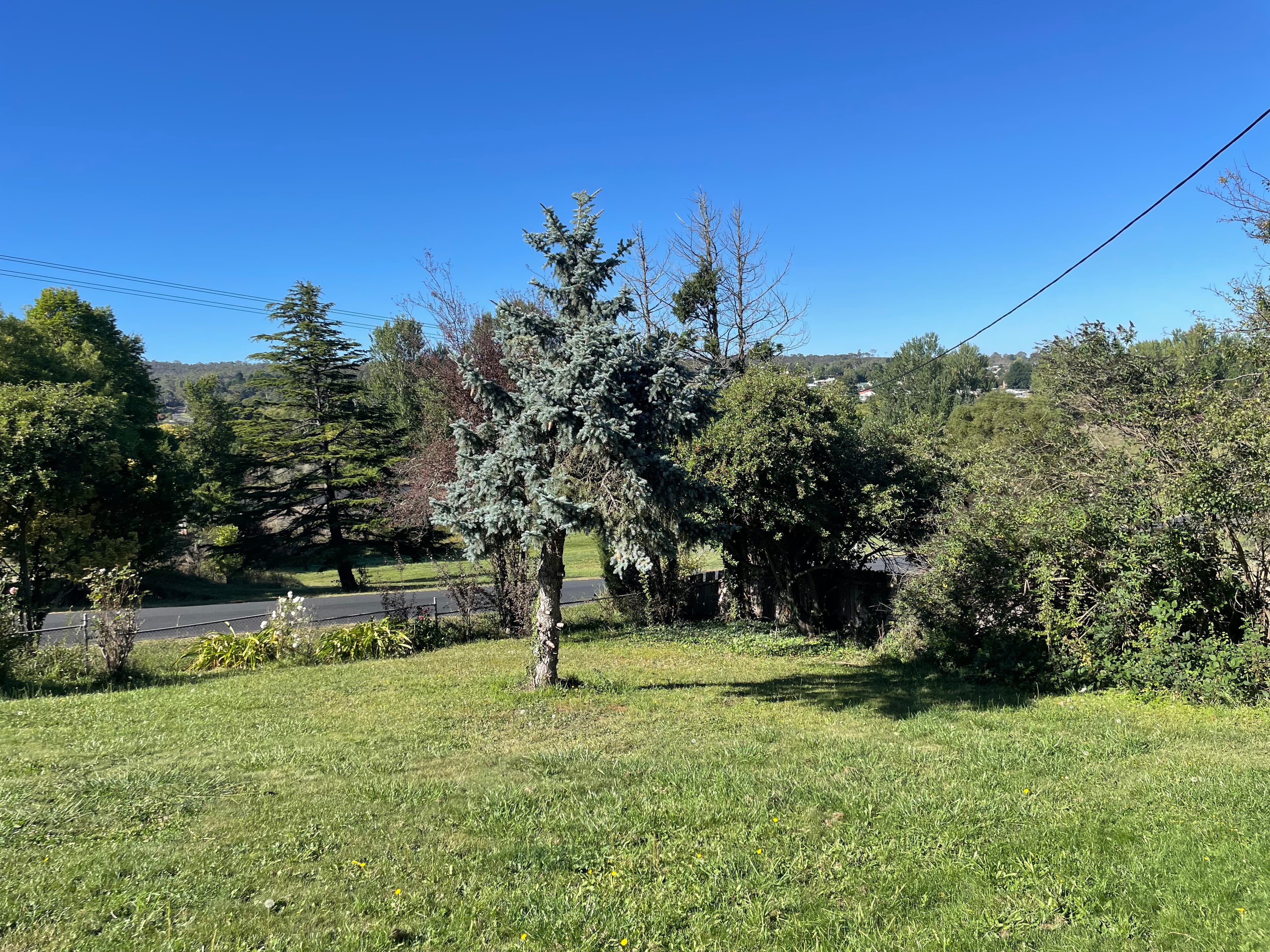 49 High Street, Bombala, Bombala - Thumbnail 4