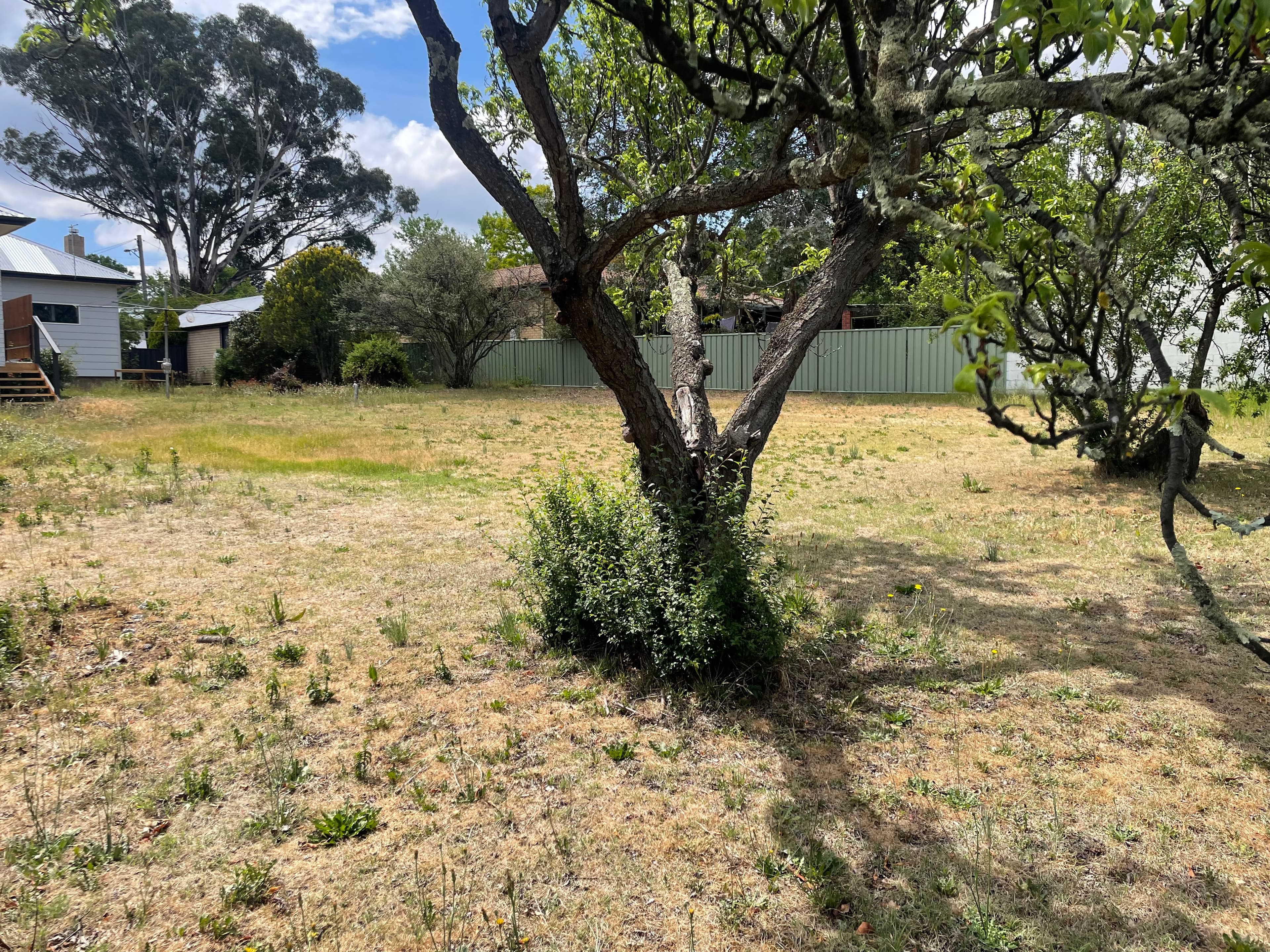 20 Massie Street, Cooma, Cooma - Thumbnail 5
