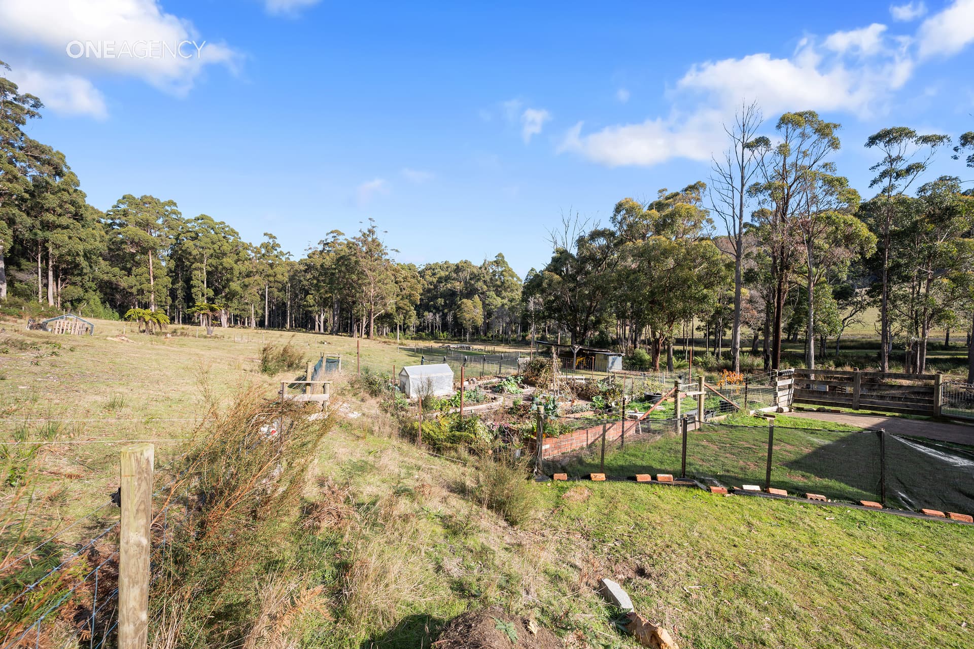 159 White Hills Road, Penguin, Penguin - Thumbnail 6
