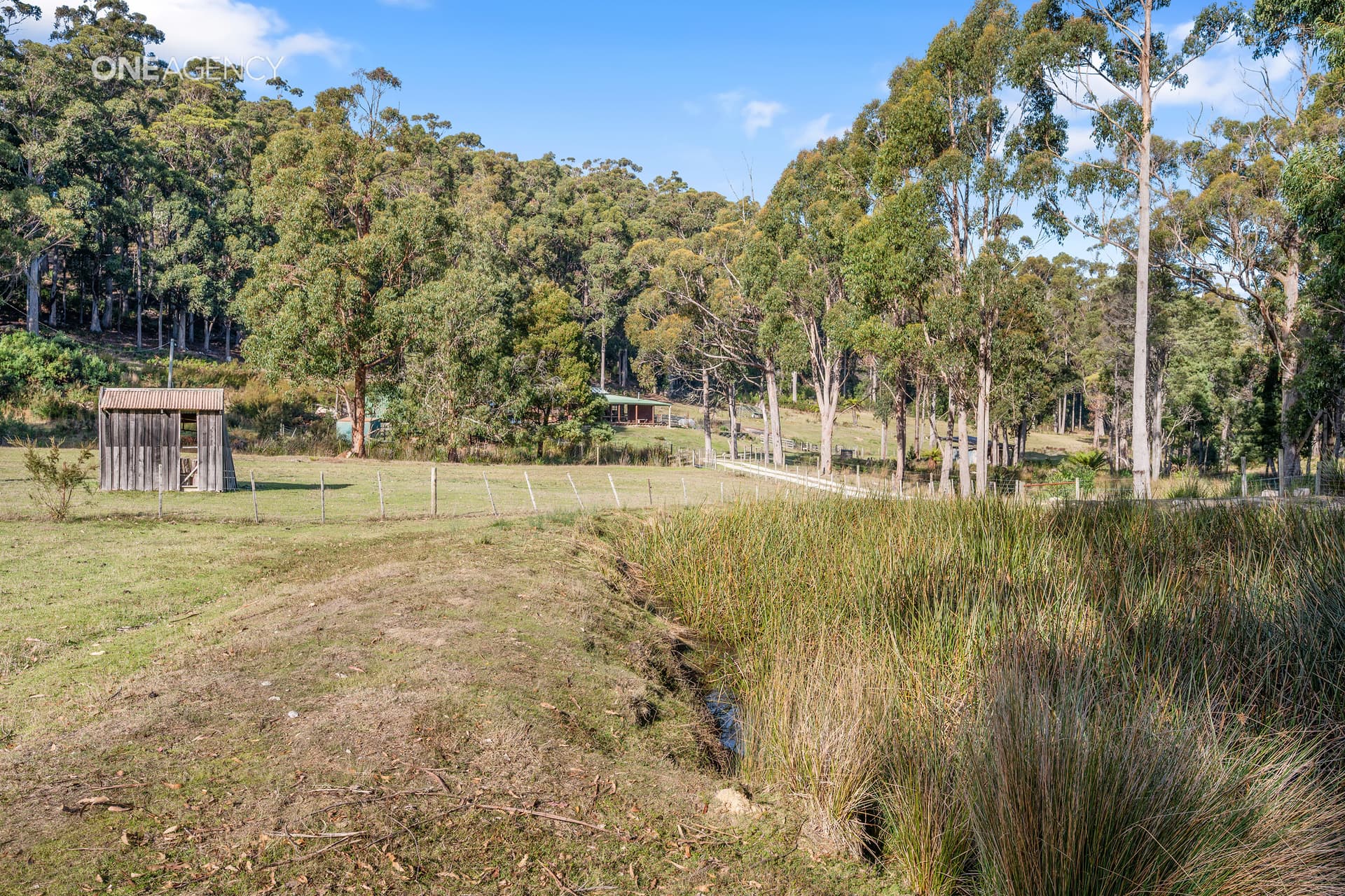159 White Hills Road, Penguin, Penguin - Thumbnail 7