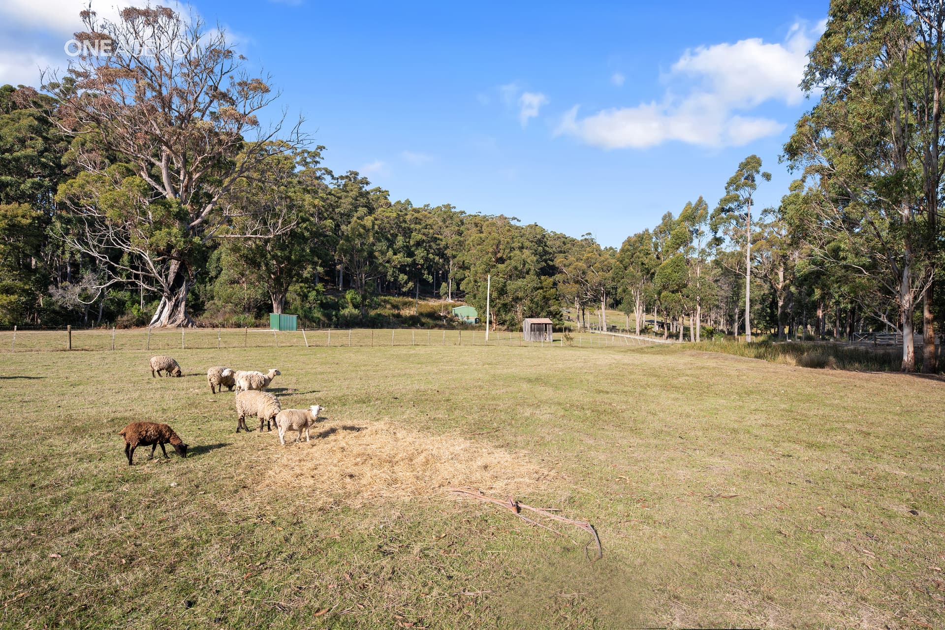 159 White Hills Road, Penguin, Penguin - Thumbnail 8