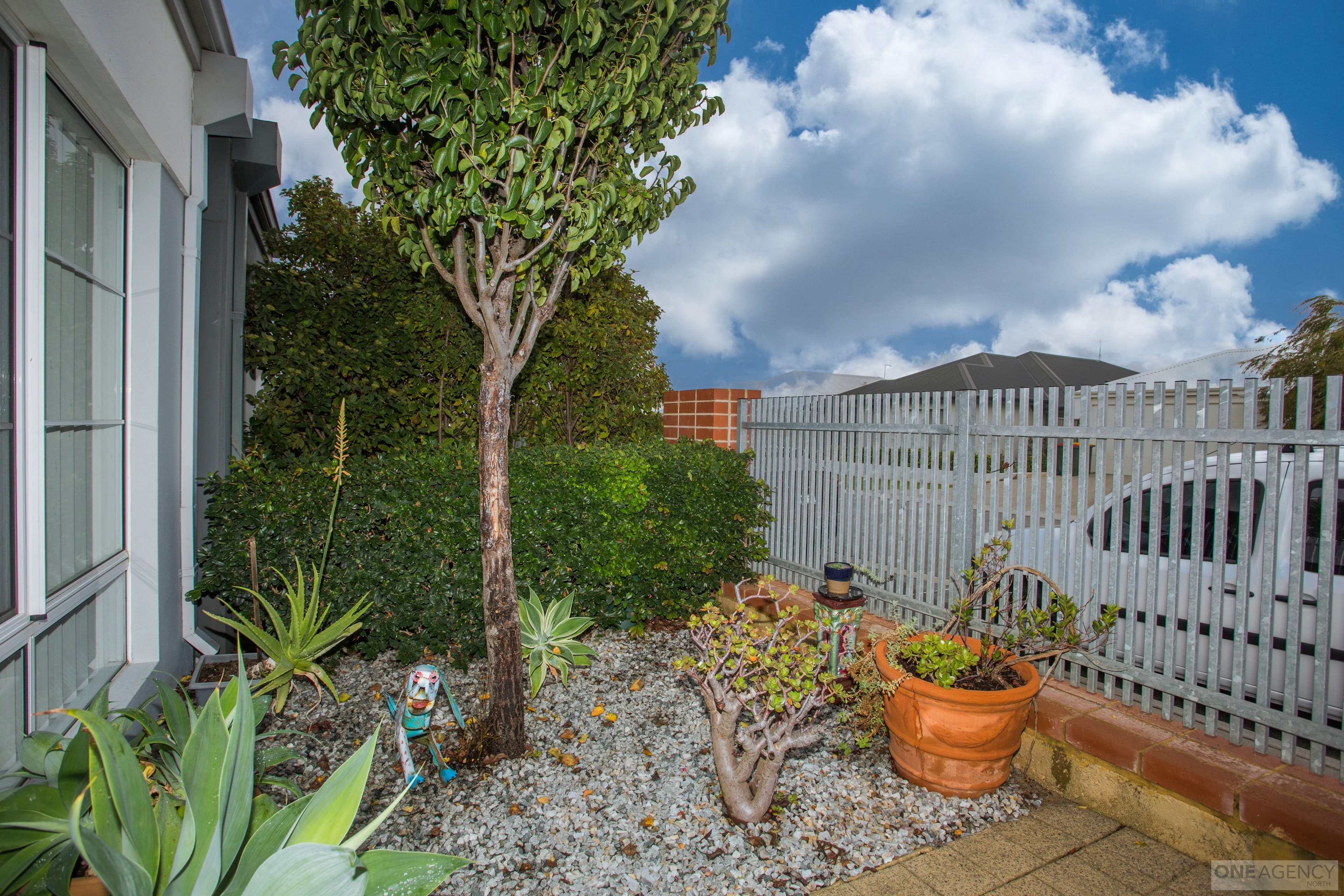 21 Perkins Drive, Clarkson, Clarkson - Thumbnail 7
