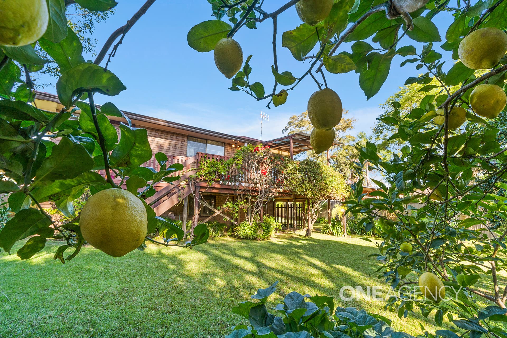 9 Castle Glen, North Nowra, North Nowra - Thumbnail 2