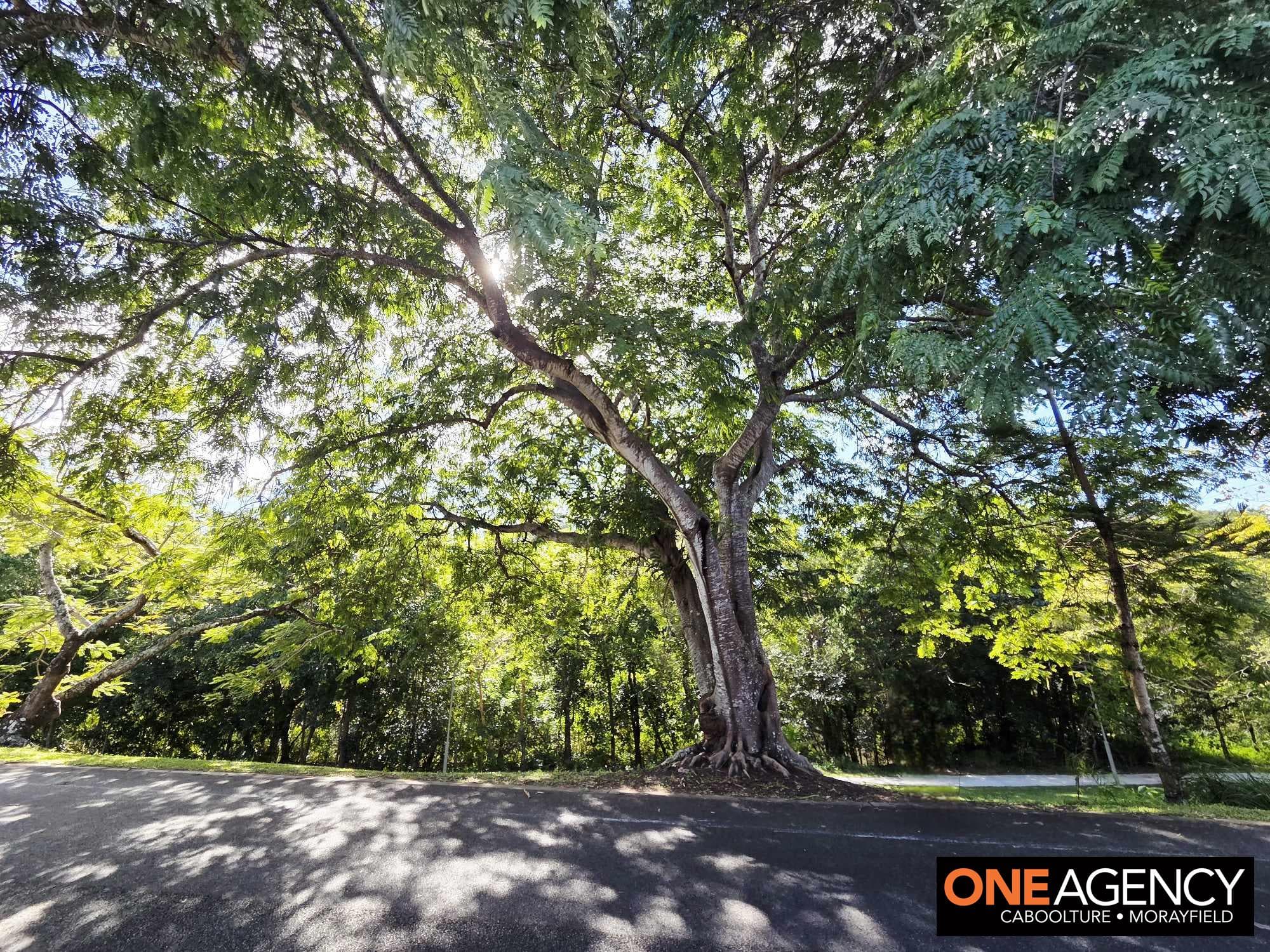 62 Norfolk Esplanade, Caboolture South, Caboolture South - Thumbnail 7