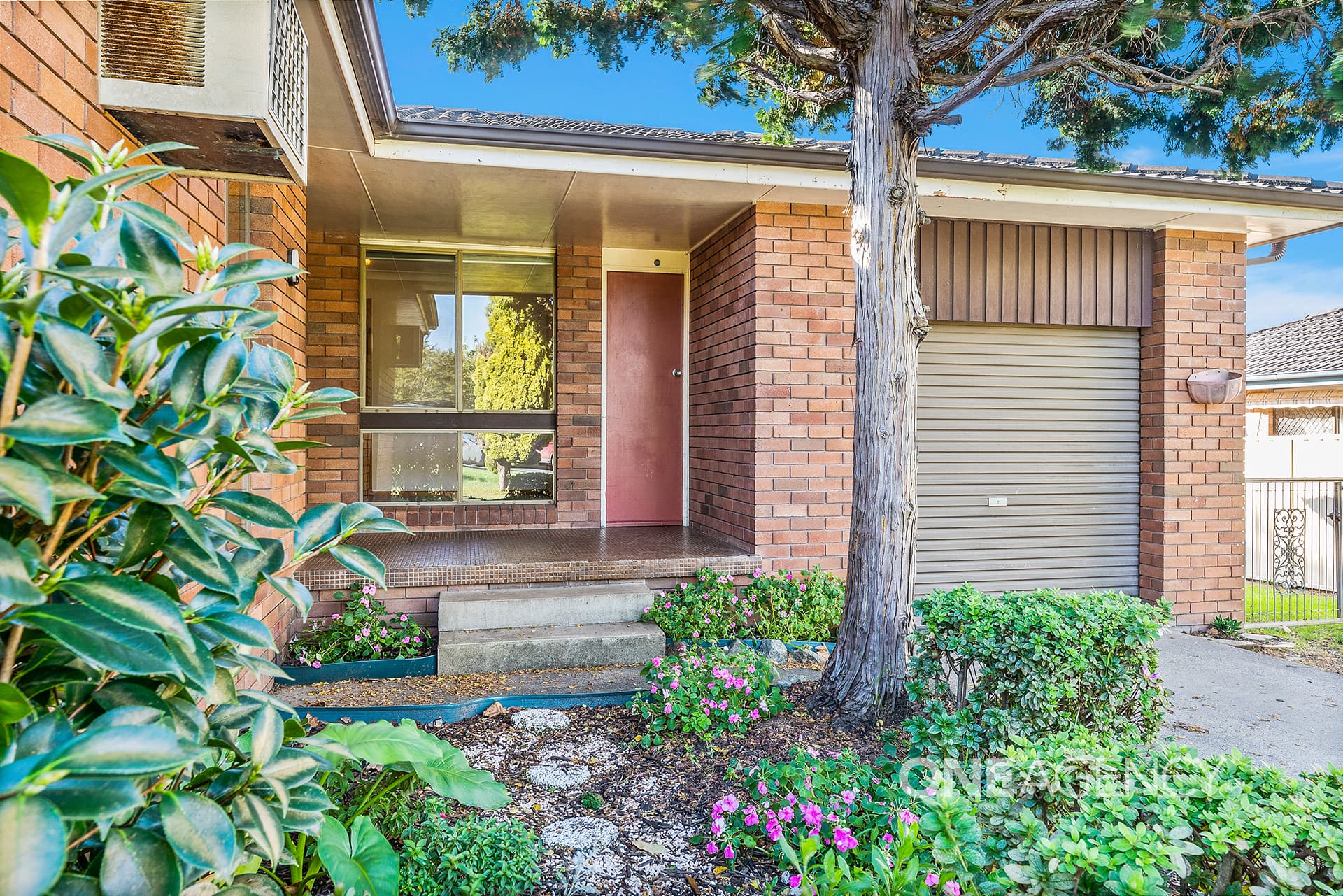11 Lumsden Road, North Nowra, North Nowra - Thumbnail 4