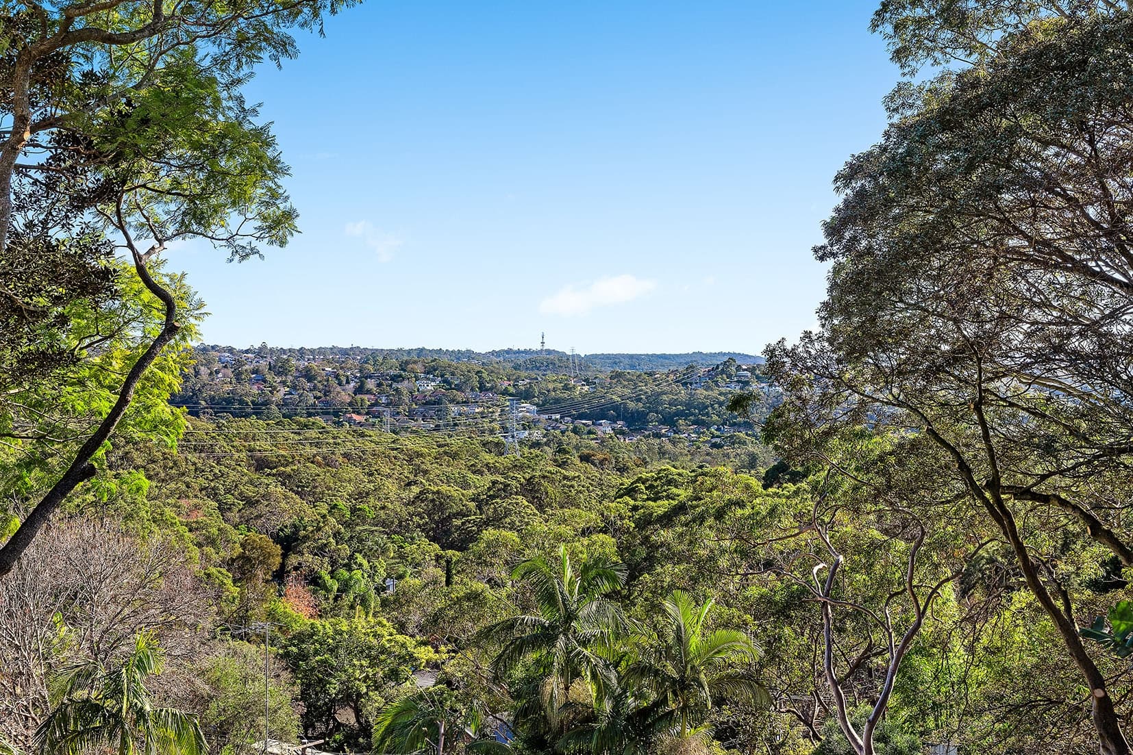 20 Bimbadeen Crescent, Frenchs Forest, Frenchs Forest - Thumbnail 8