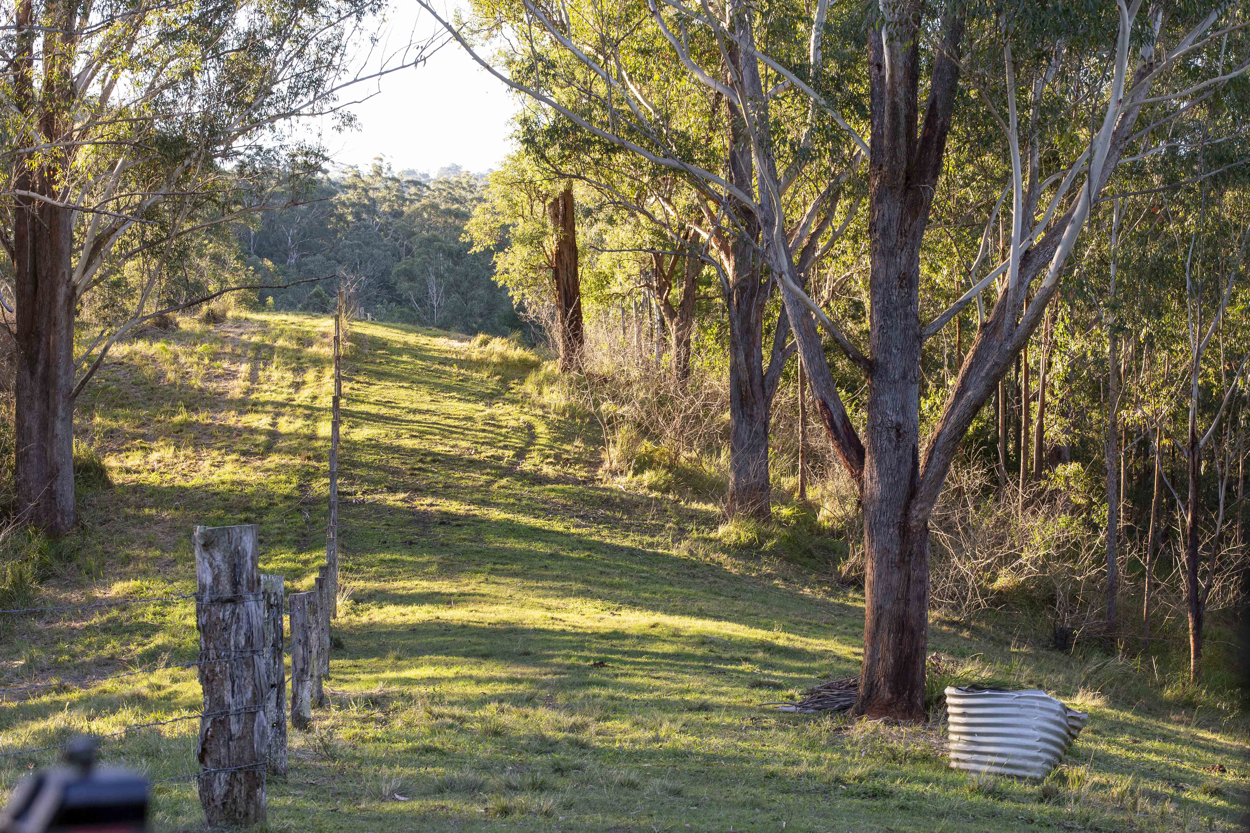 Lot 12 Cookes Road, Conondale, Conondale - Thumbnail 3