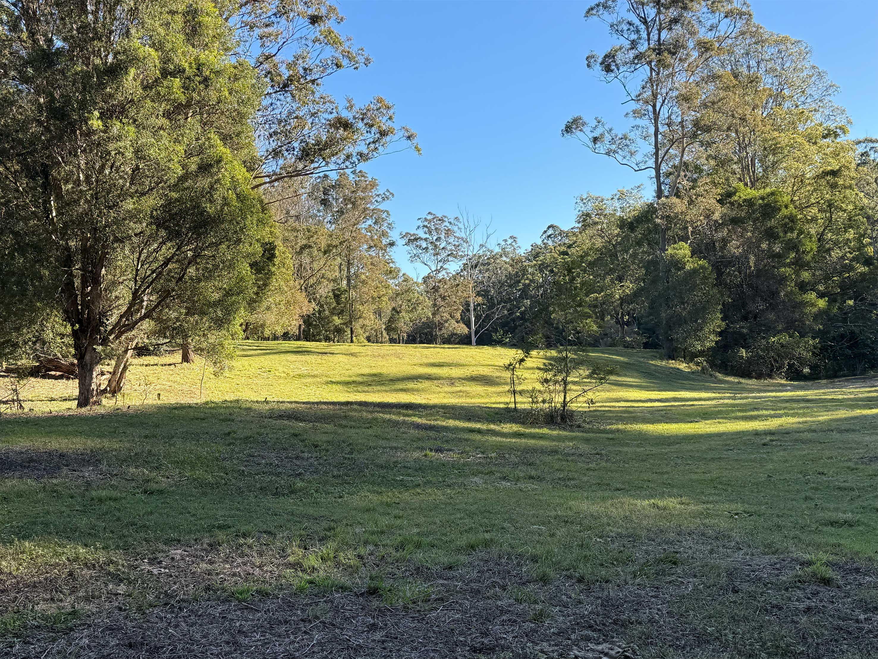 Lot 12 Cookes Road, Conondale, Conondale - Thumbnail 6