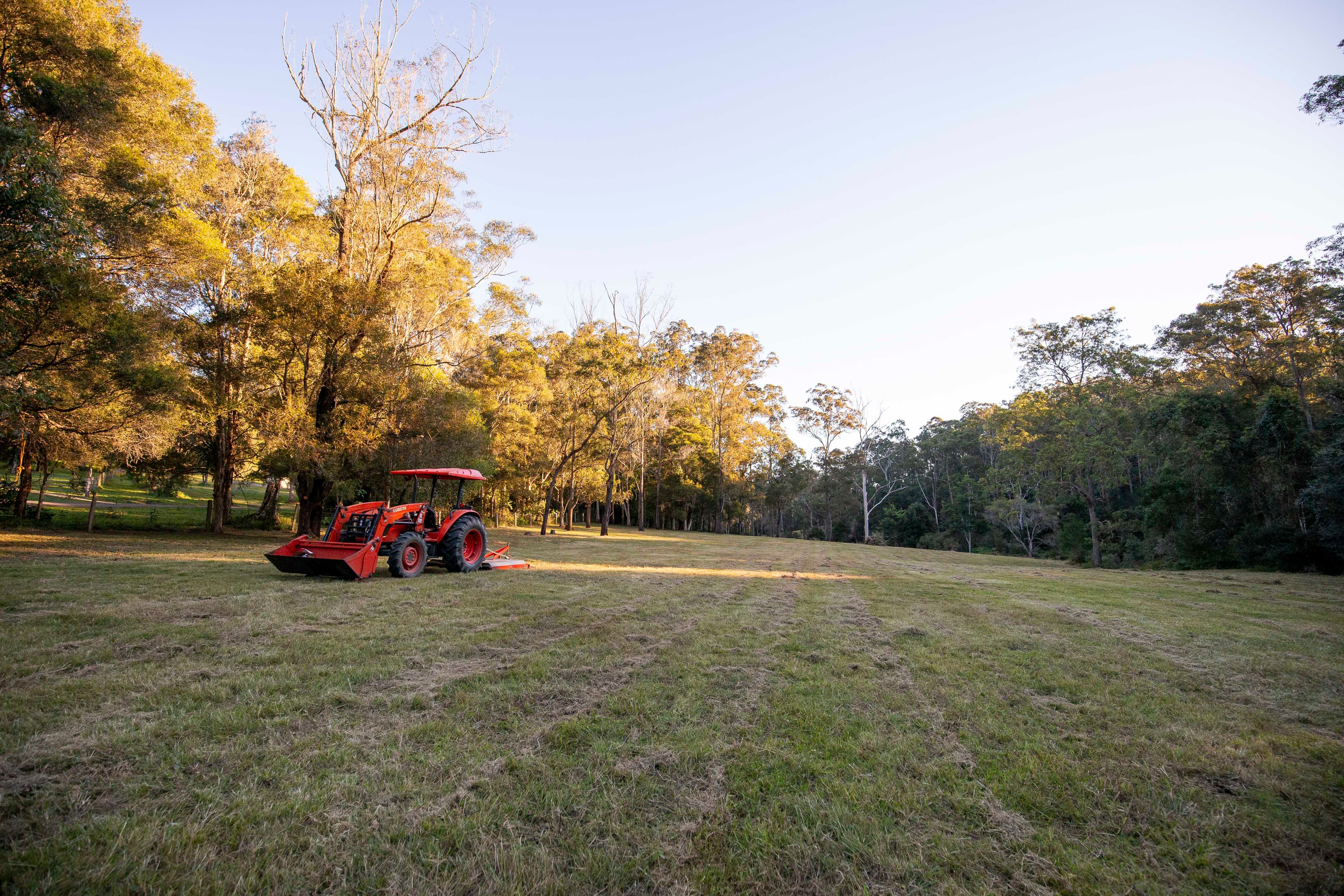 Lot 12 Cookes Road, Conondale, Conondale - Thumbnail 7