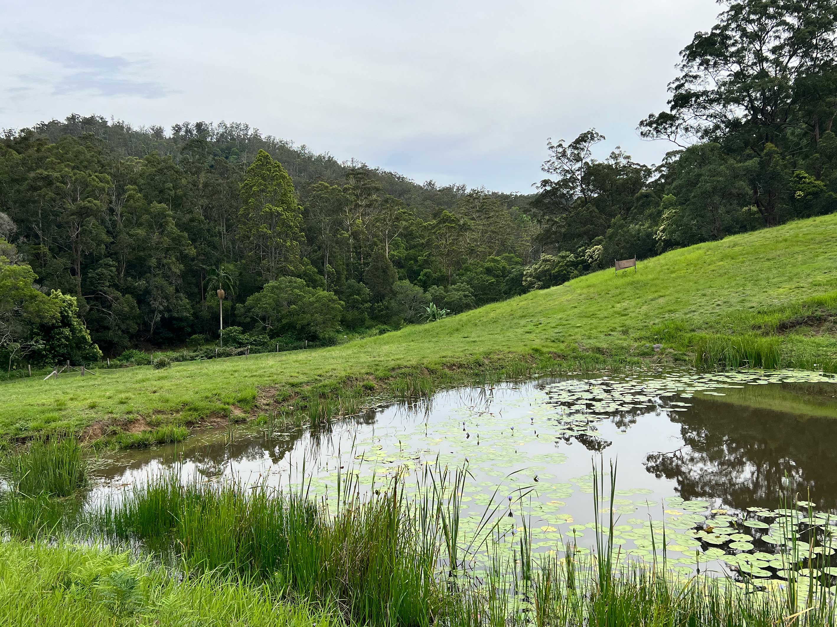Lot 12 Cookes Road, Conondale, Conondale - Thumbnail 5