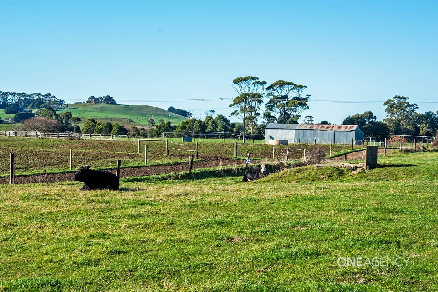 276 Gates Road, Flowerdale, Flowerdale - Thumbnail 6