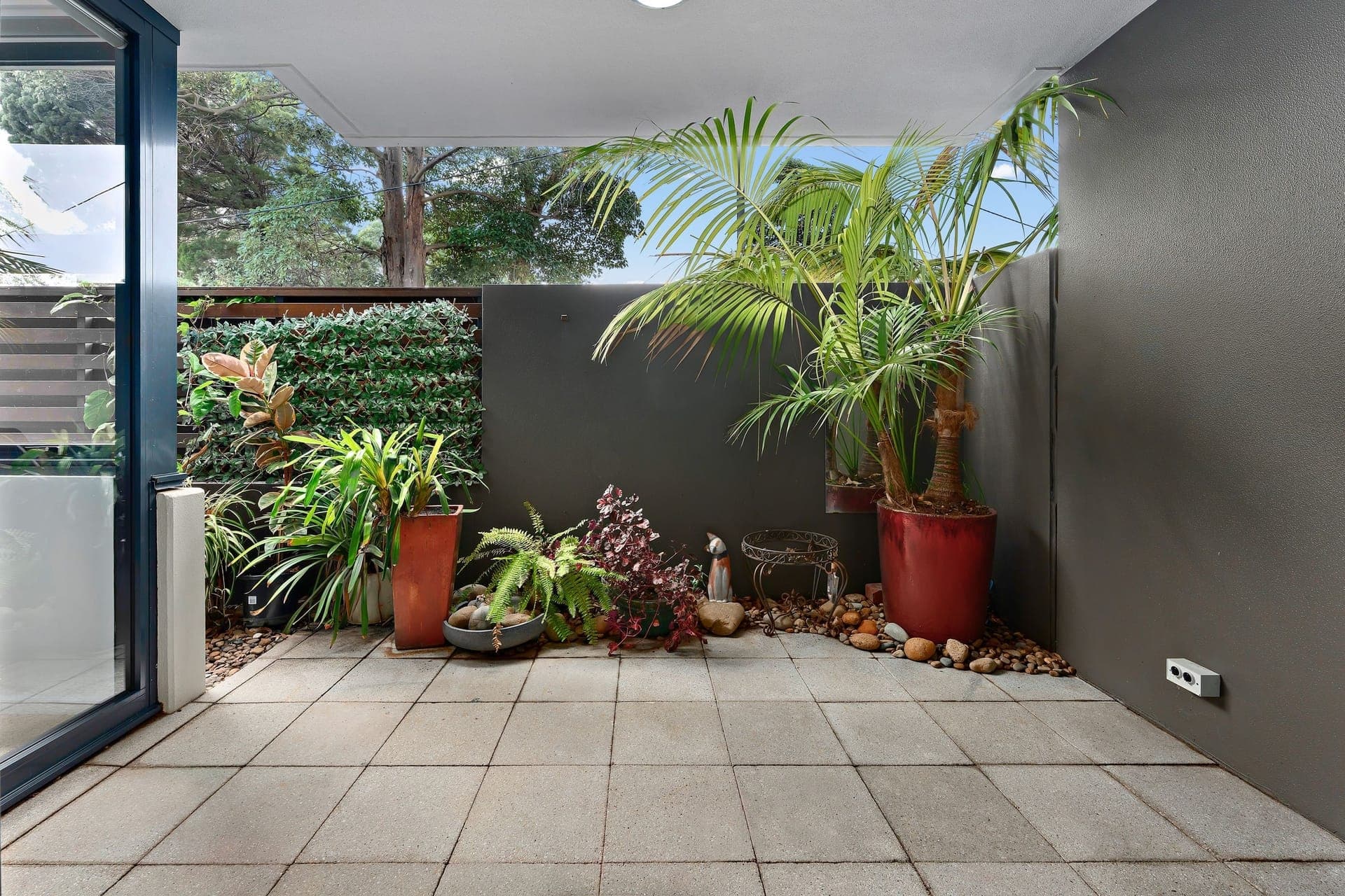 G17/2-4 Darley Street, Forestville, Forestville - Thumbnail 2