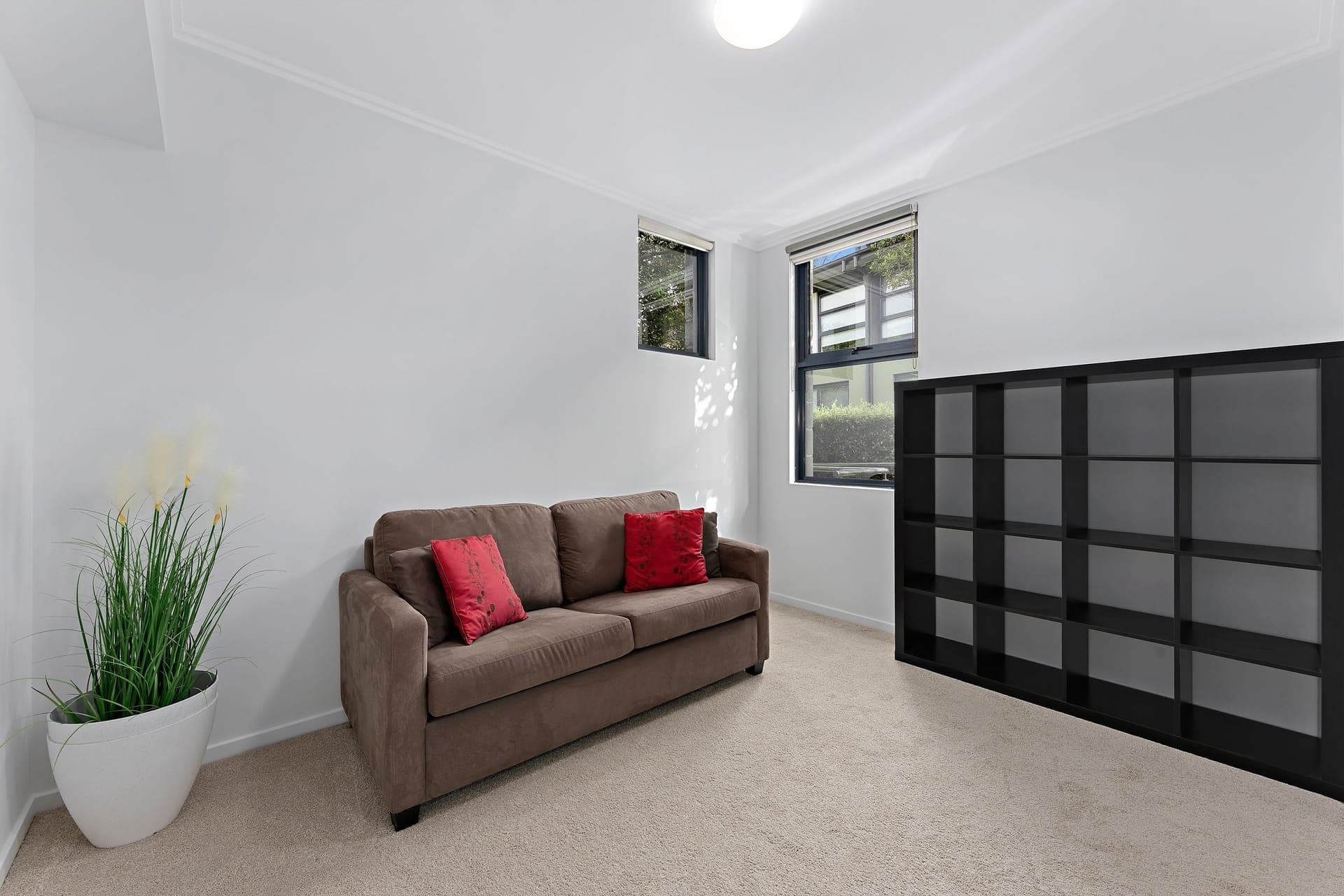 G17/2-4 Darley Street, Forestville, Forestville - Thumbnail 5