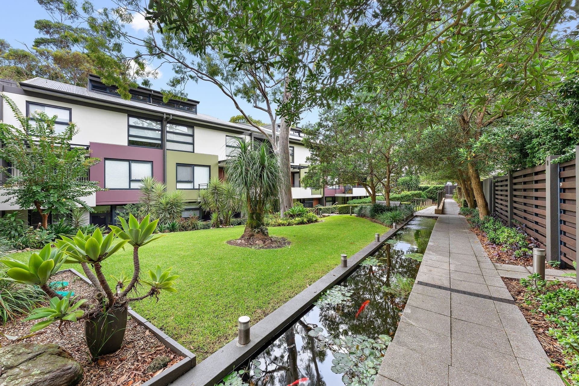 G17/2-4 Darley Street, Forestville, Forestville - Thumbnail 8