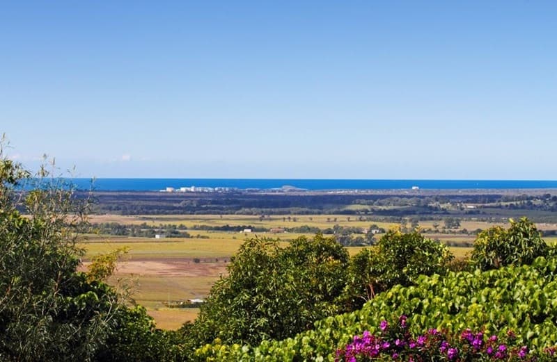 6 Caladenia Court, Maroochy River, Maroochy River - Thumbnail 4