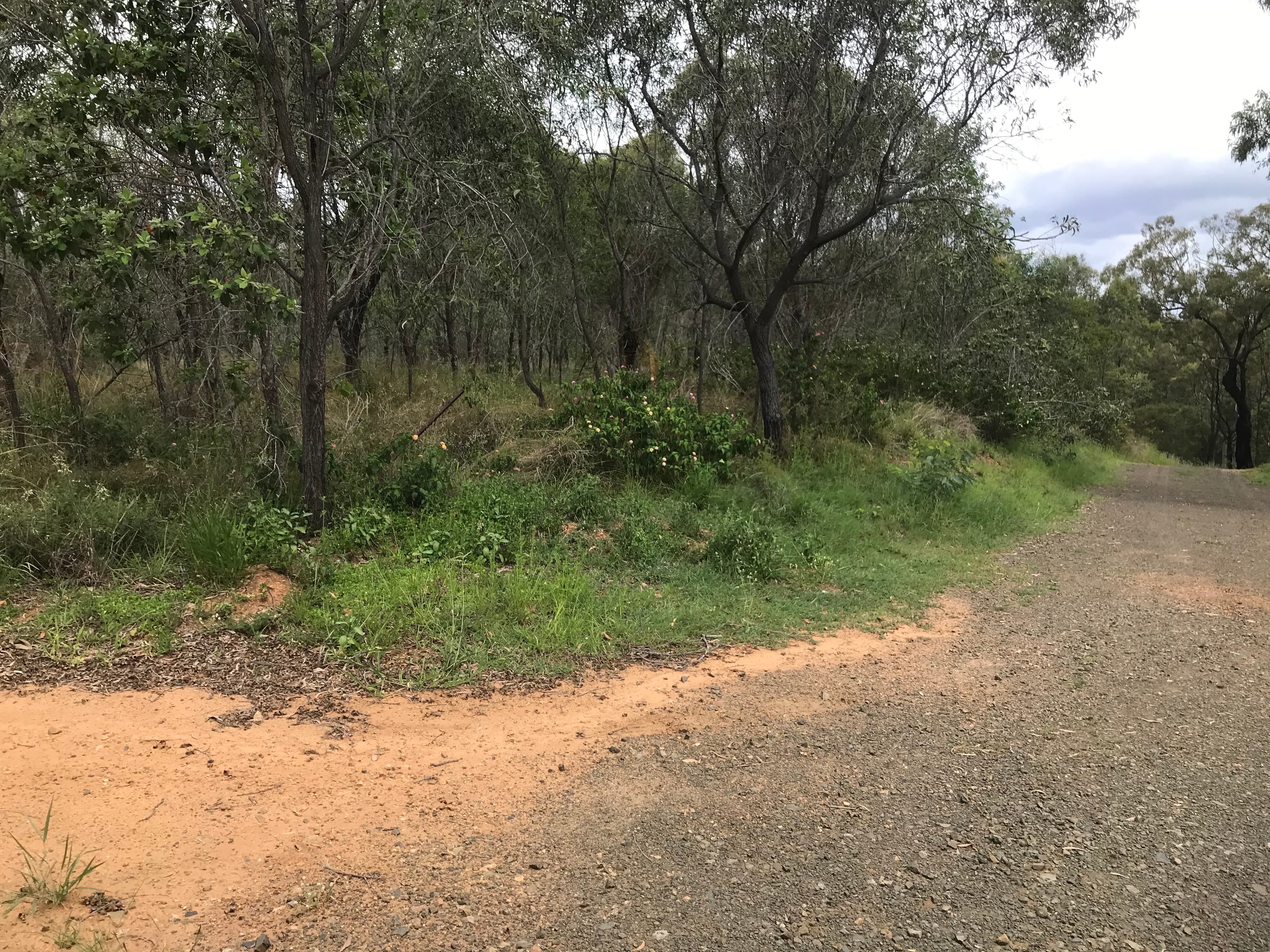 18 Jones Street, Moongan, Moongan - Image 1