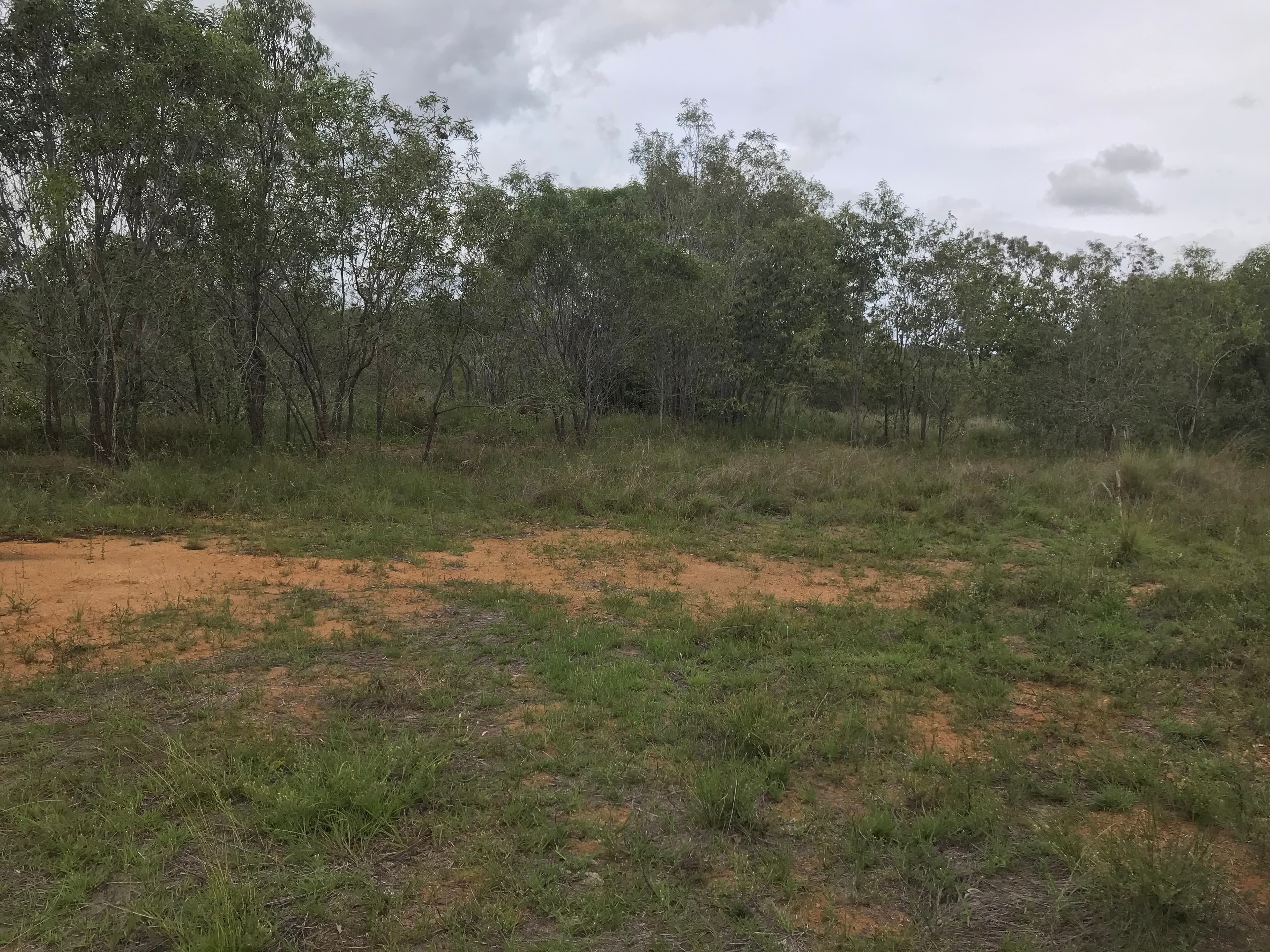 18 Jones Street, Moongan, Moongan - Thumbnail 2