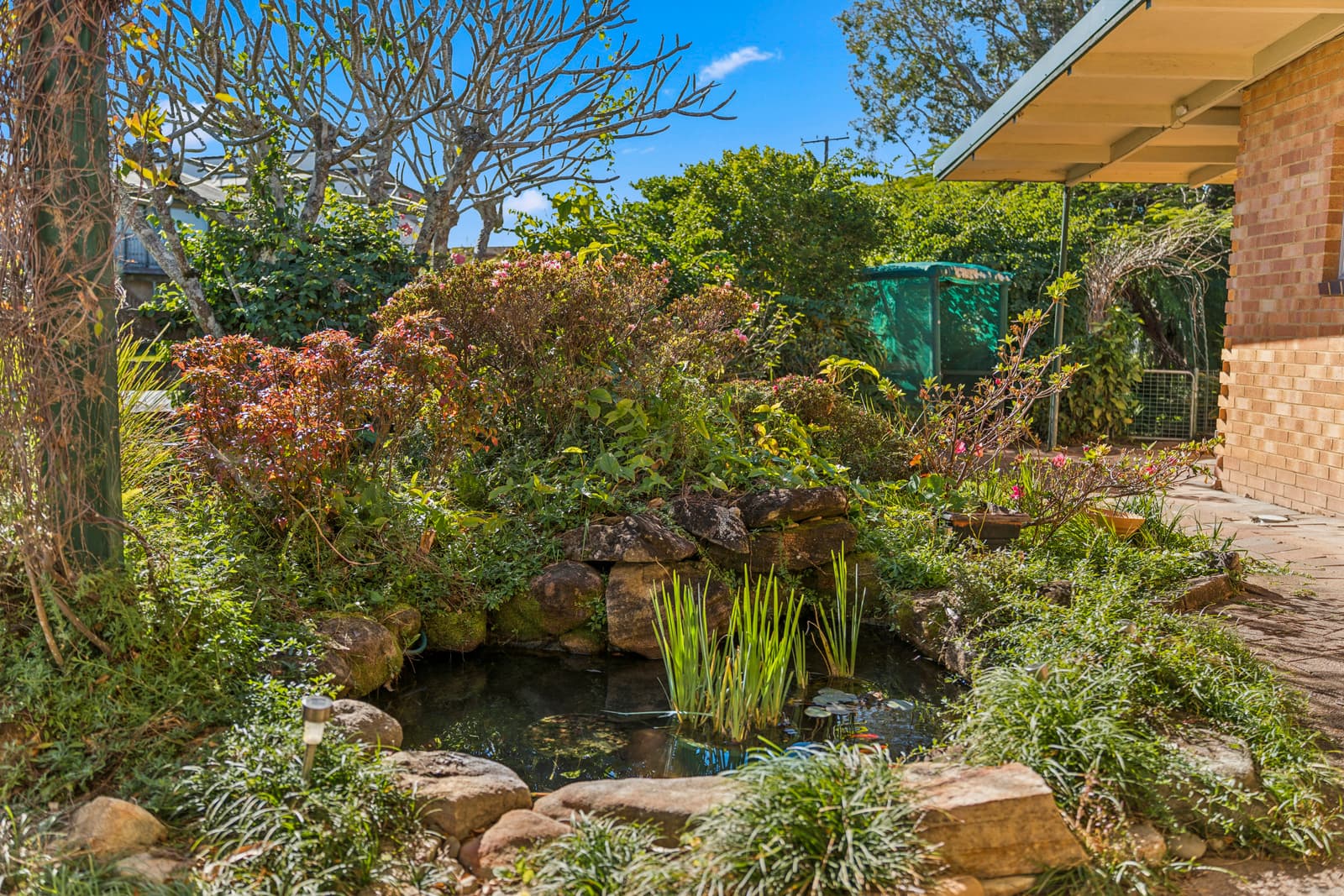 147 Lyons Road, Sawtell, Sawtell - Thumbnail 4