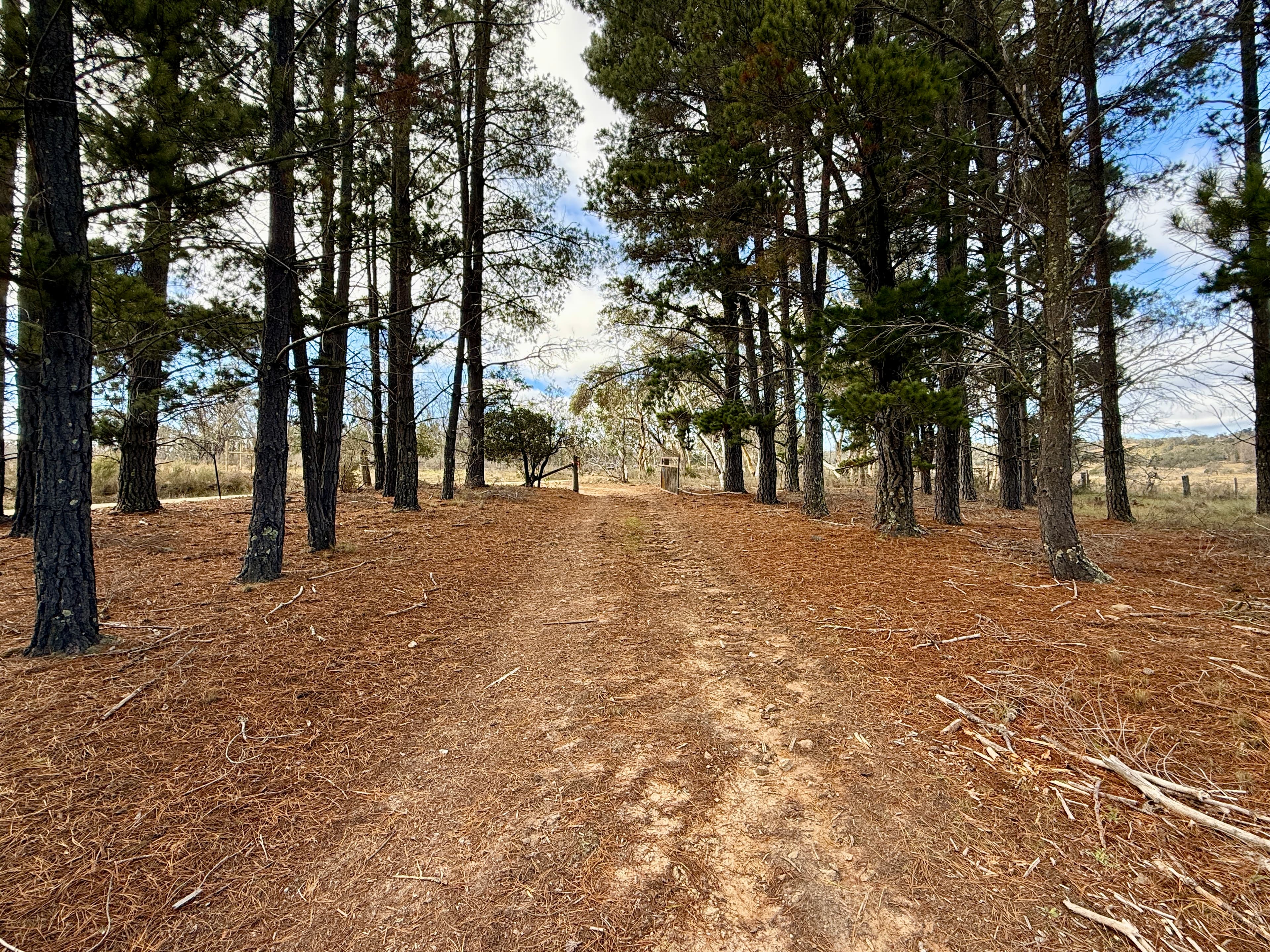 34 Parkers Road, Peak View, Peak View - Thumbnail 8