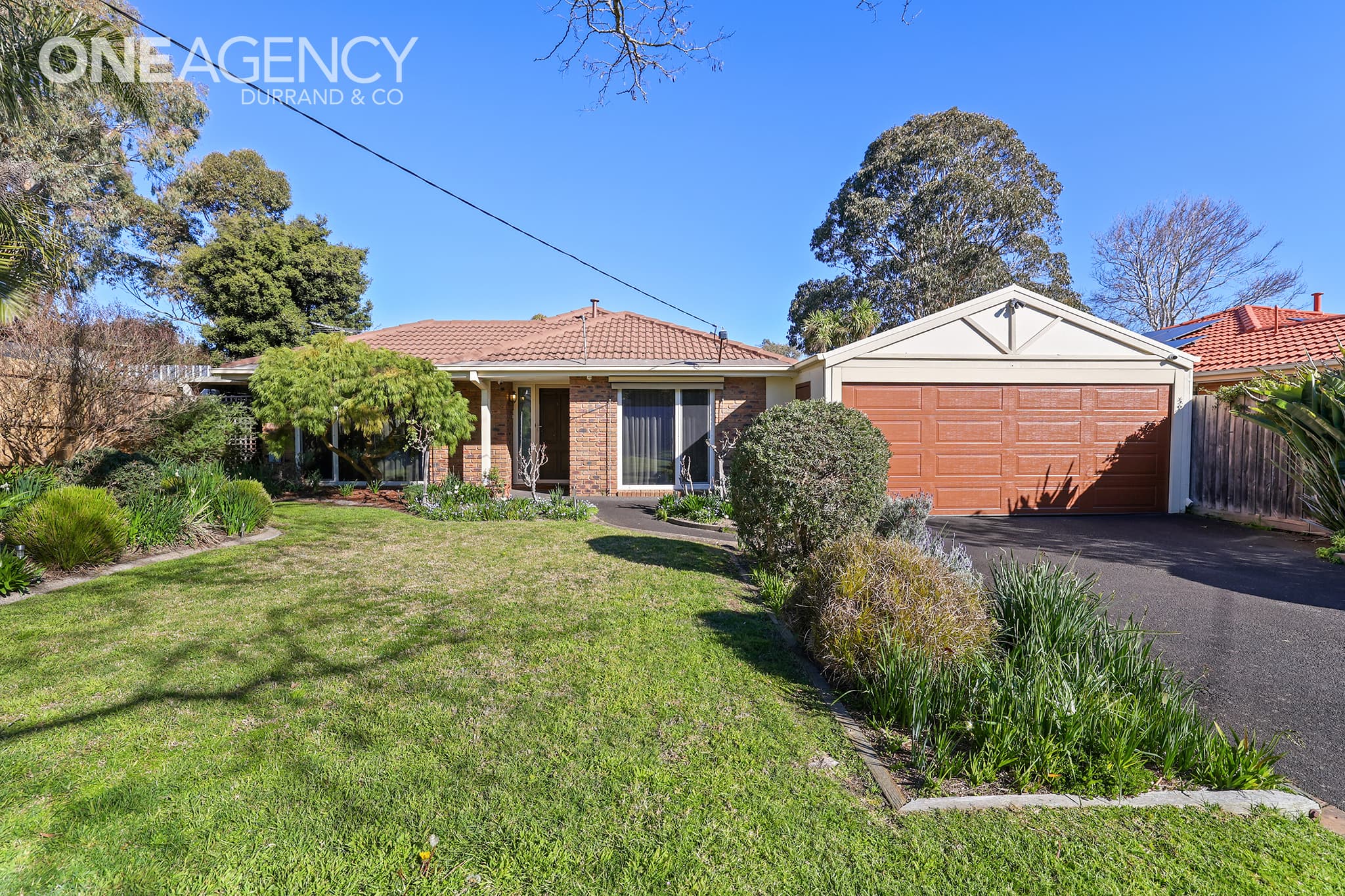 24 Sycamore Street, Langwarrin, Langwarrin - Image 1