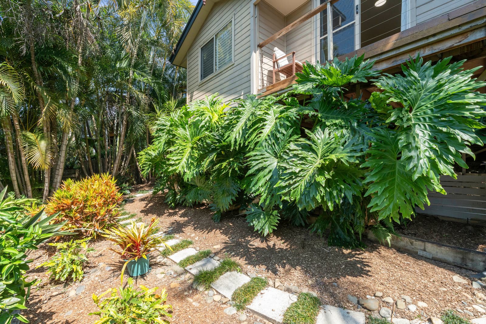 11 Fern Tree Place, Korora, Korora - Thumbnail 3
