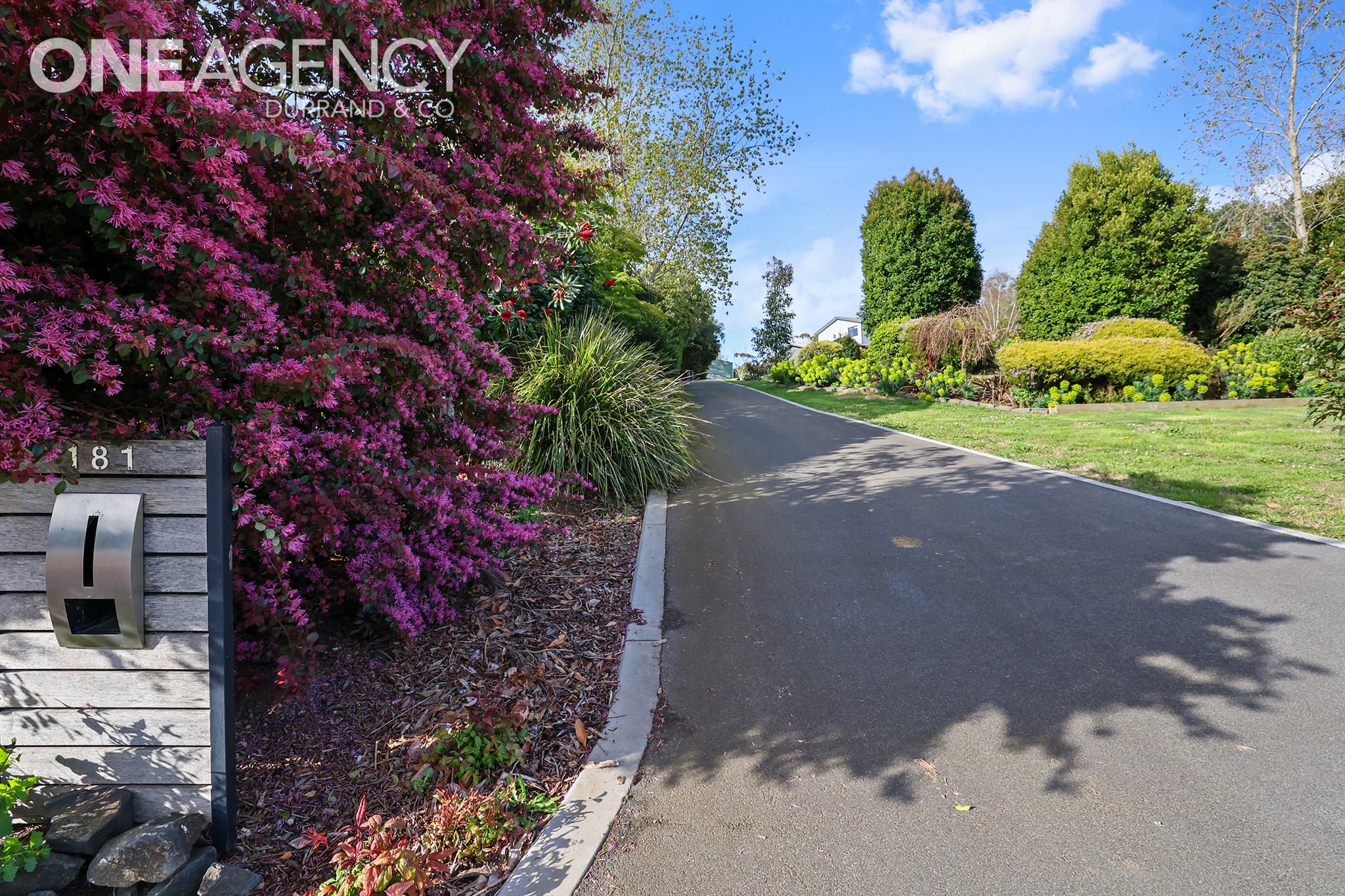181 Bona Vista Road, Warragul, Warragul - Thumbnail 3