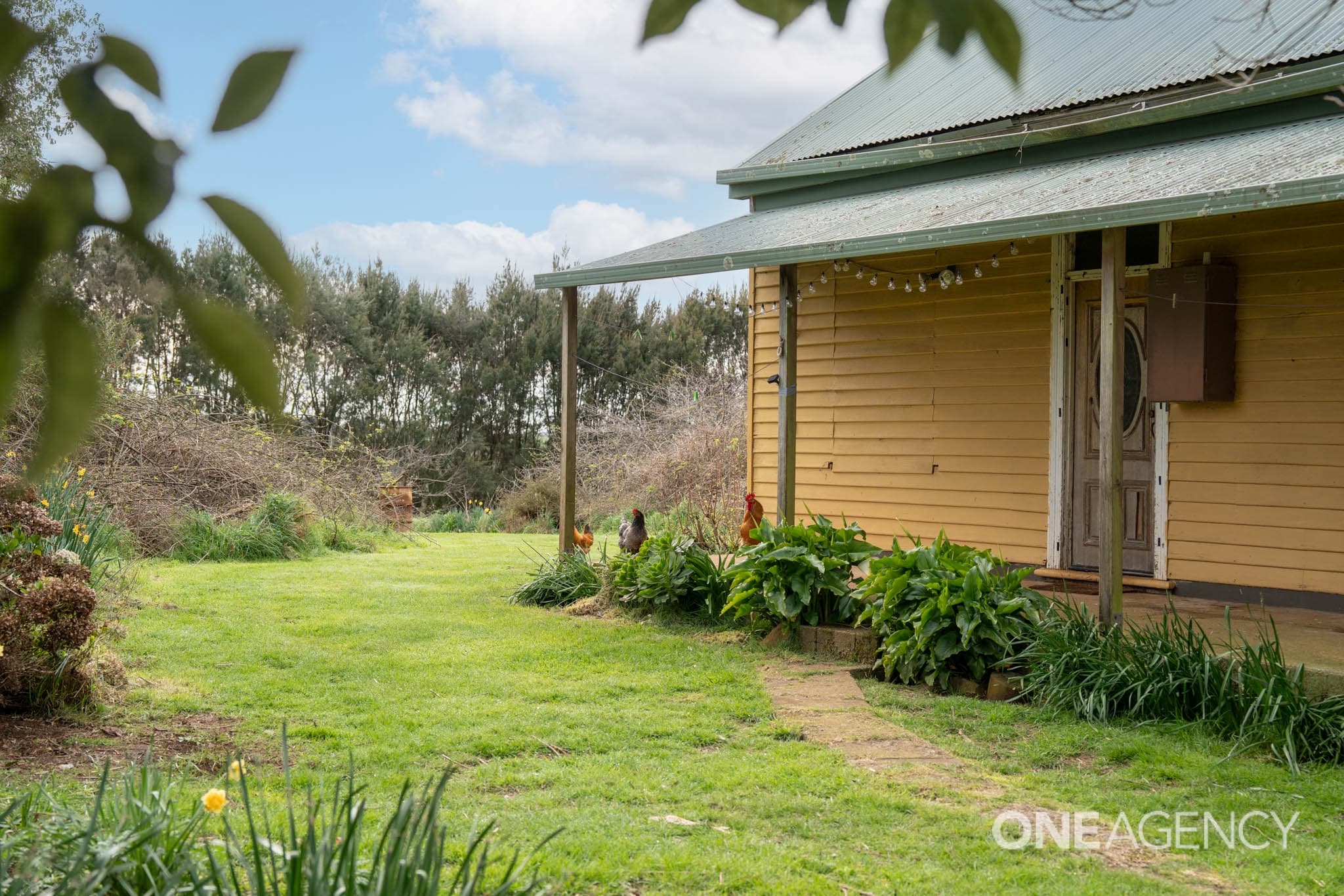201 Metaira Road, Ridgley, Ridgley - Thumbnail 5
