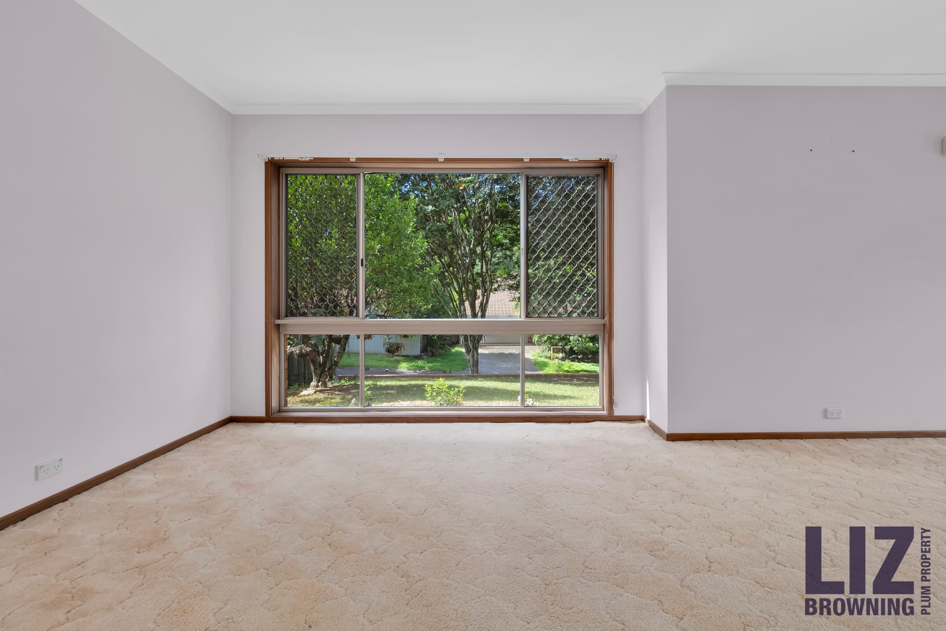 22 Tangmere Street, Chapel Hill - Thumbnail 3