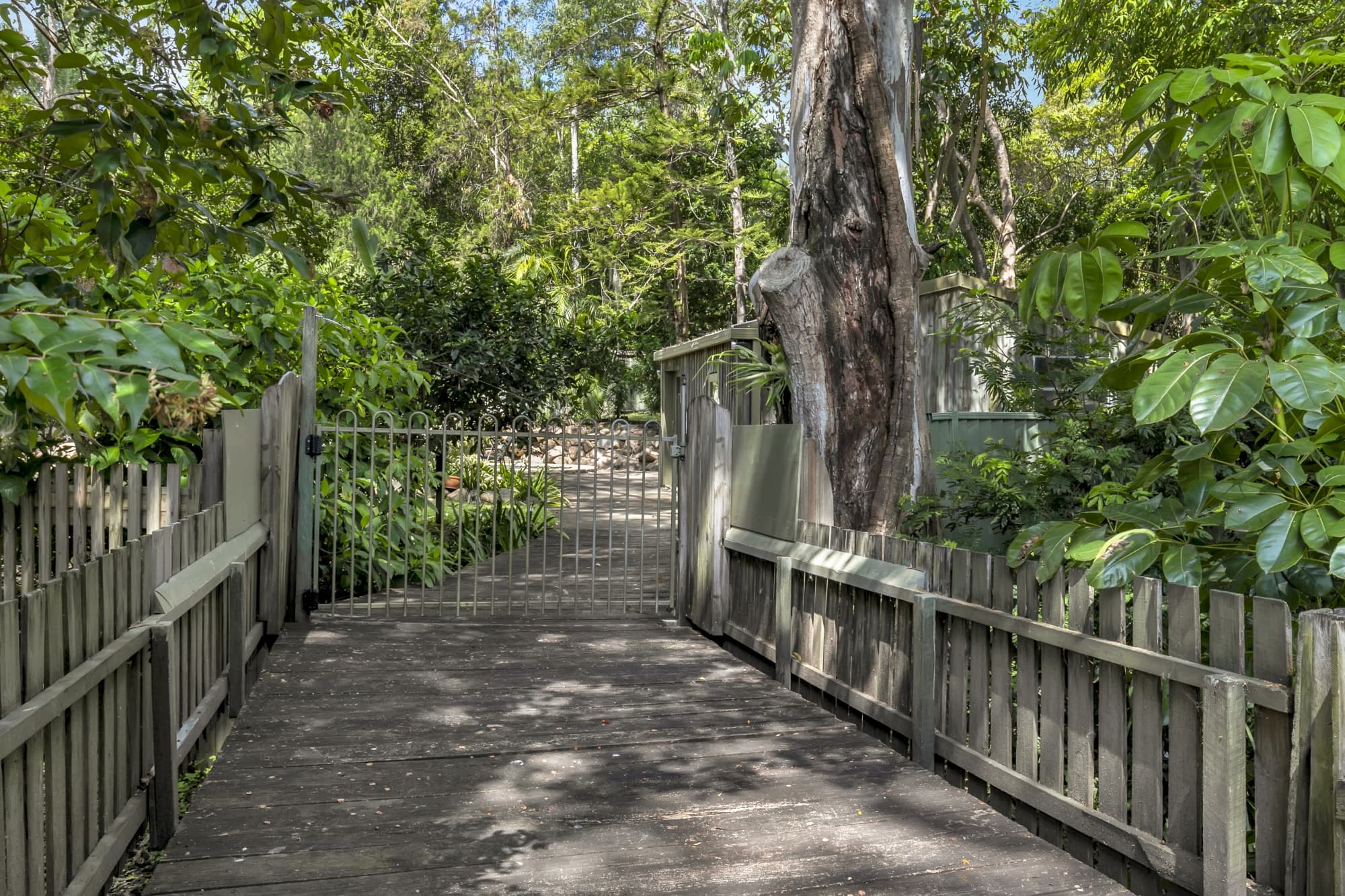 6 Vanwall Road, Moggill - Thumbnail 4