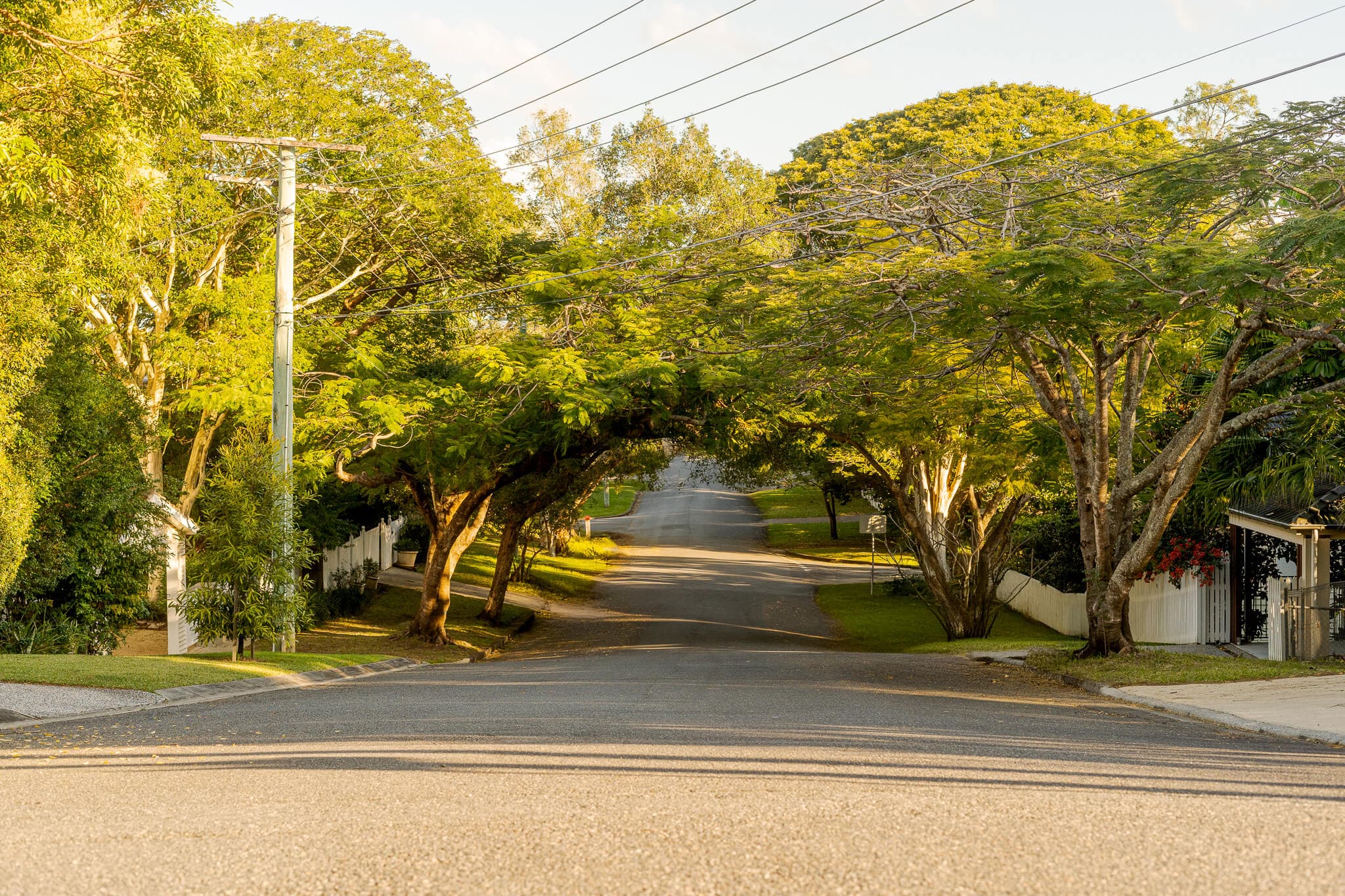 2 Birdvale Street, Taringa - Thumbnail 2