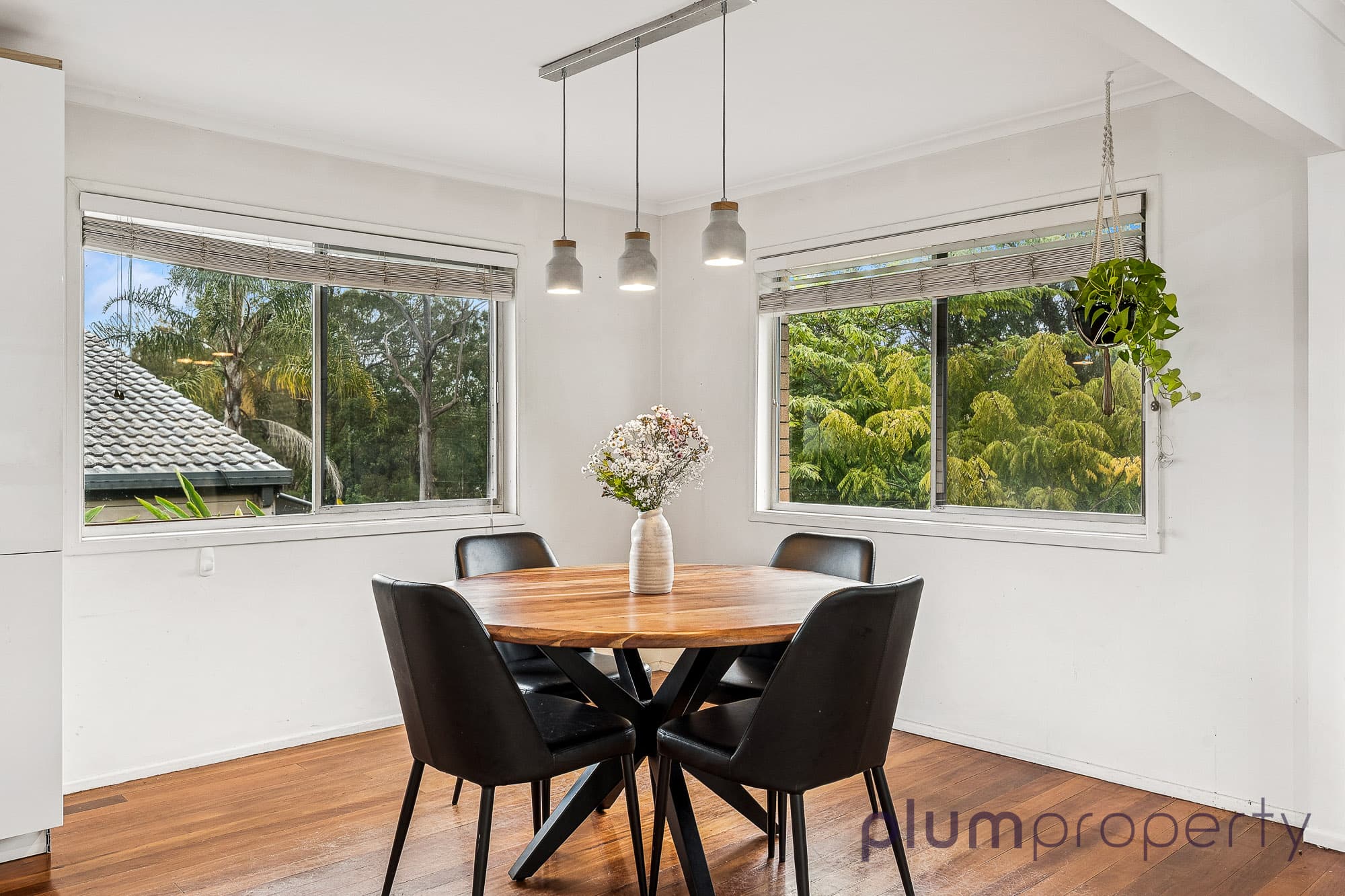 1 Winking Street, Chapel Hill - Thumbnail 7