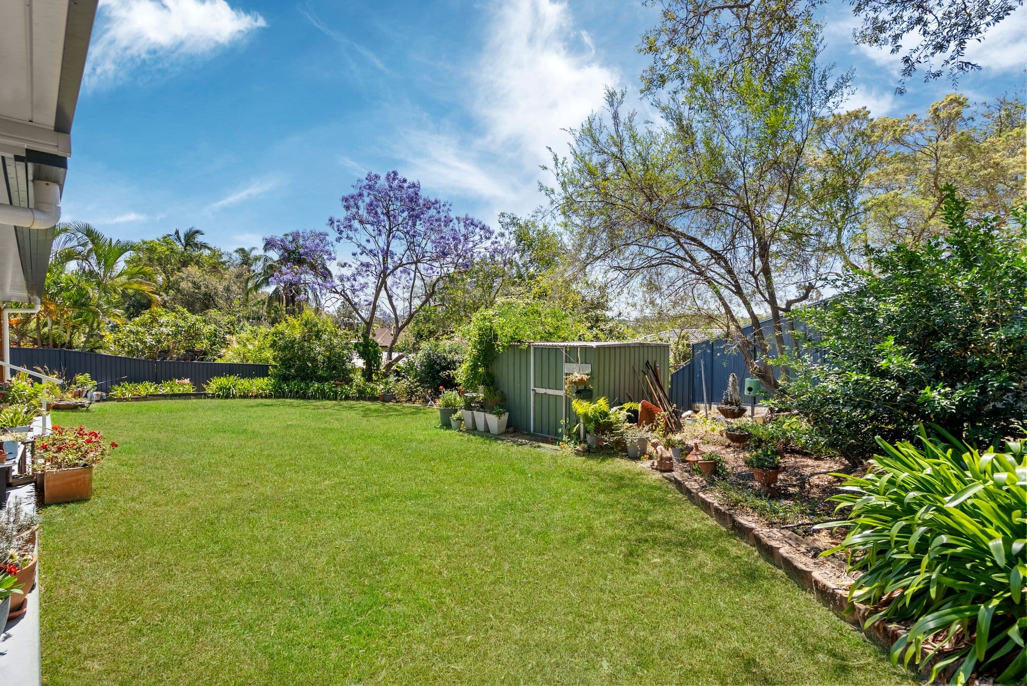 2 Plucks Road, Arana Hills - Thumbnail 3