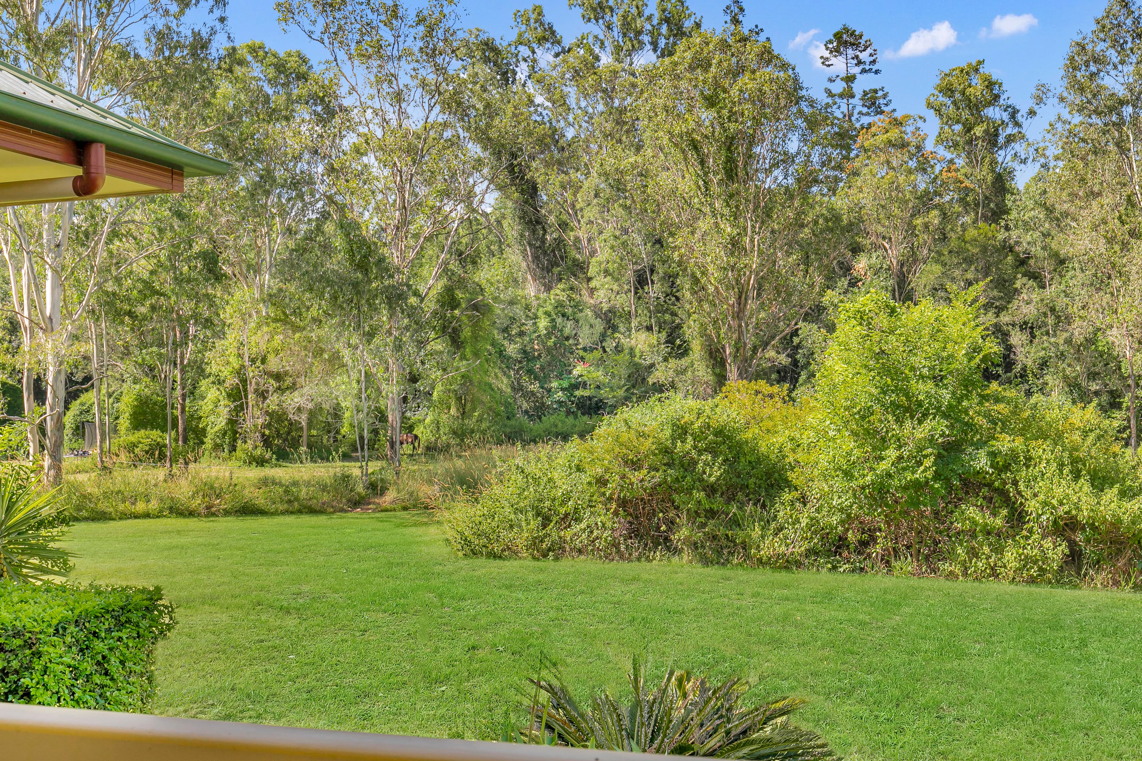 225 Grandview Road, Pullenvale - Thumbnail 8