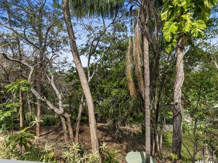 84 Fig Tree Pocket R..., Chapel Hill - Thumbnail 5