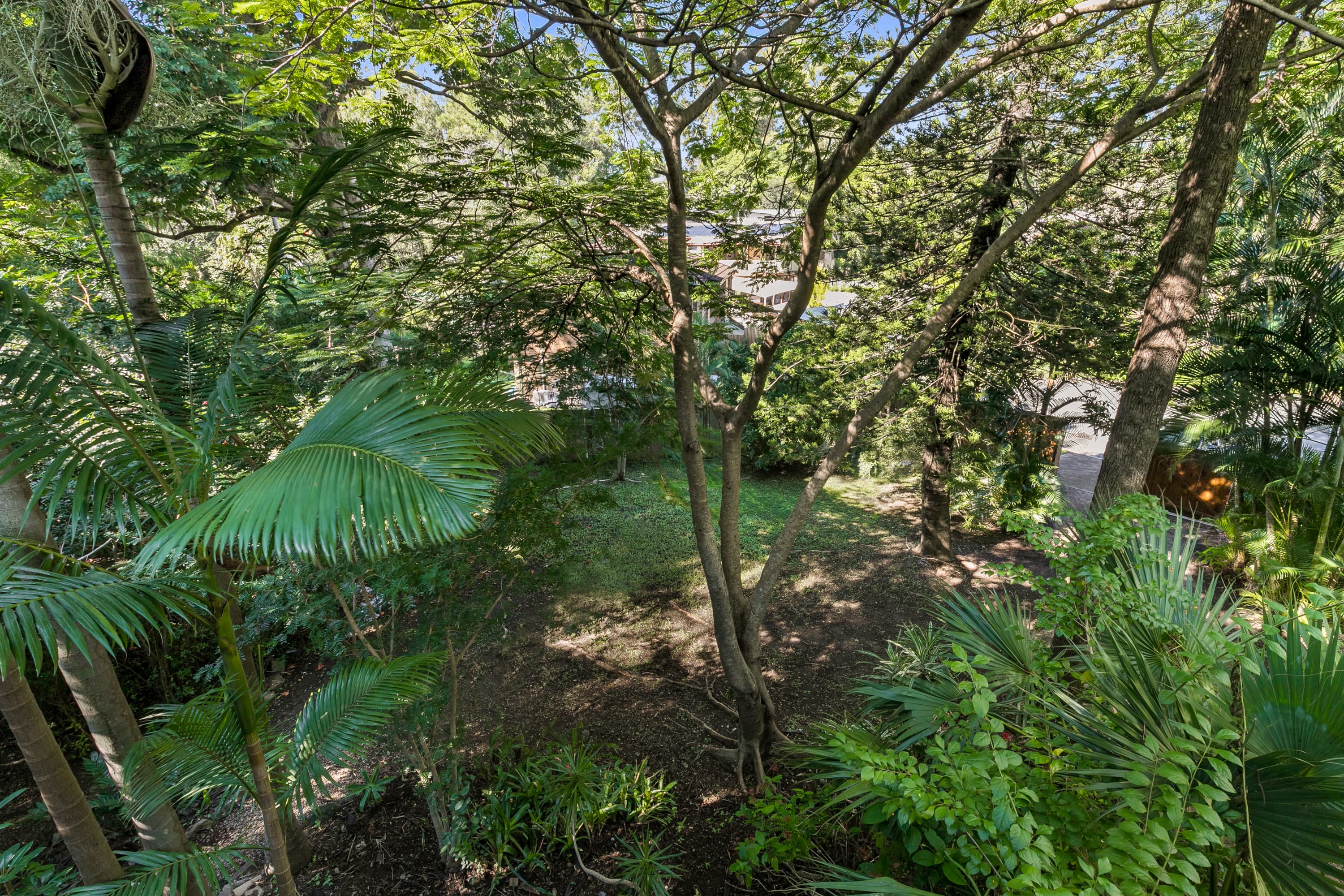 12 Brinkworth Place, Indooroopilly - Thumbnail 4
