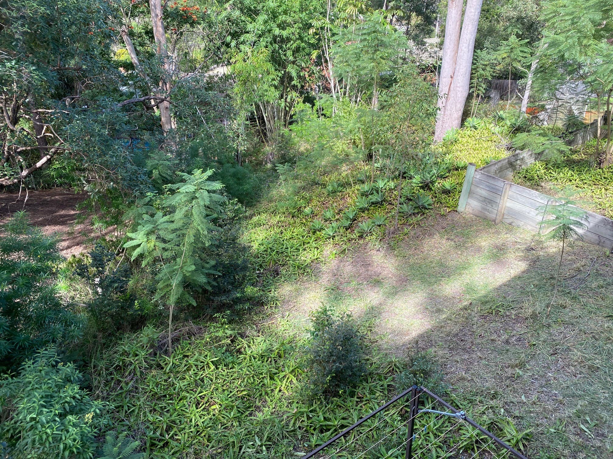 64 Fig Tree Pocket R..., Chapel Hill - Thumbnail 6