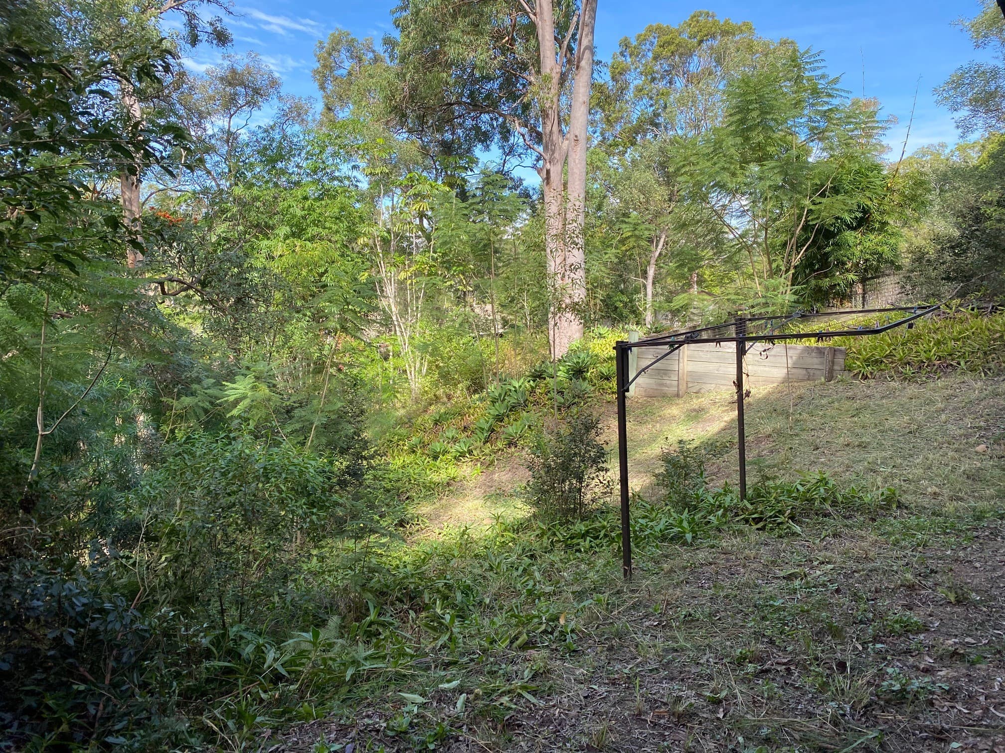 64 Fig Tree Pocket R..., Chapel Hill - Thumbnail 7