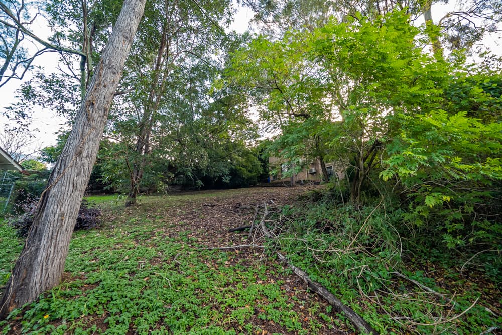 8 Struan Street, Chapel Hill - Thumbnail 3