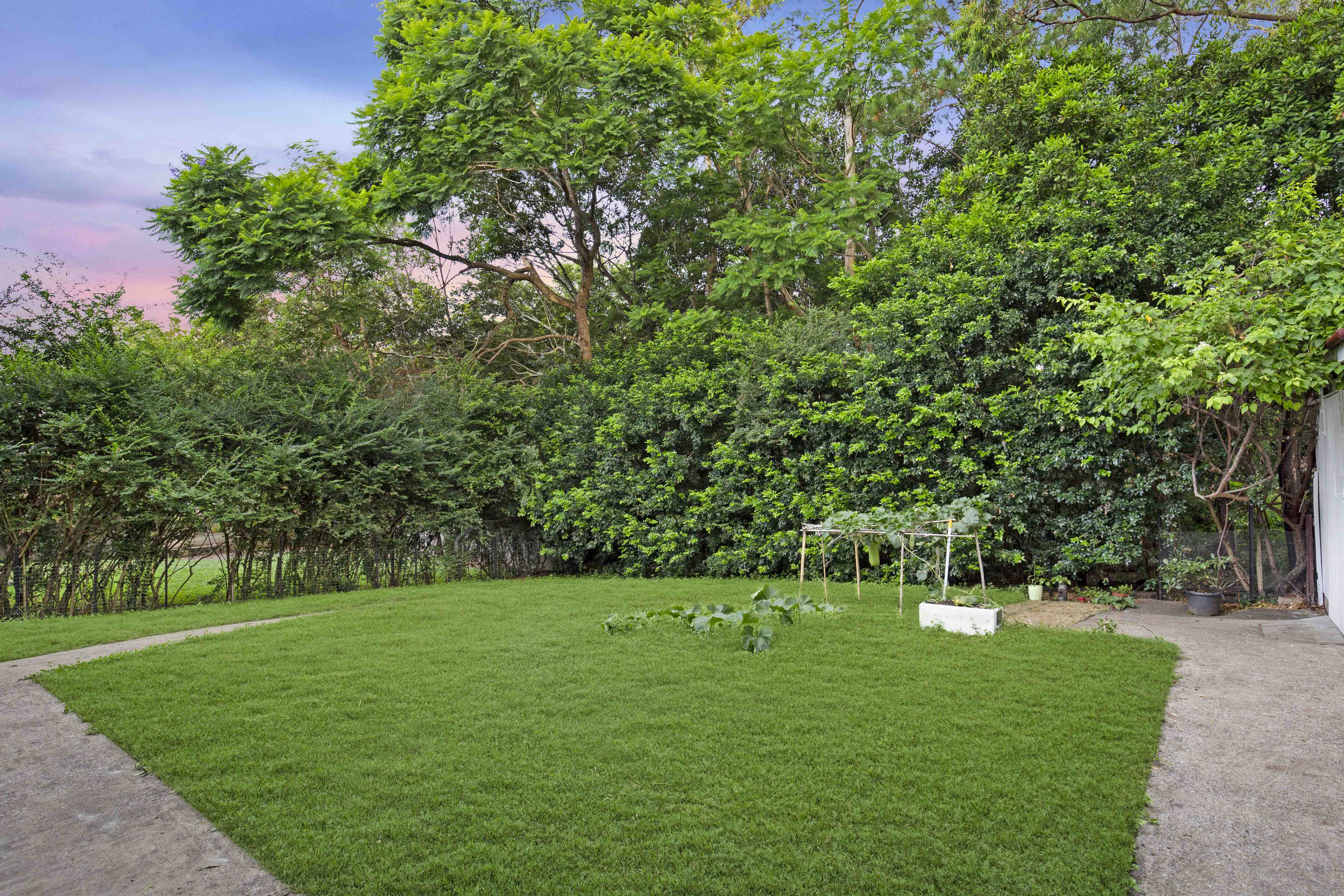 82 Lant Street, Chapel Hill - Thumbnail 3