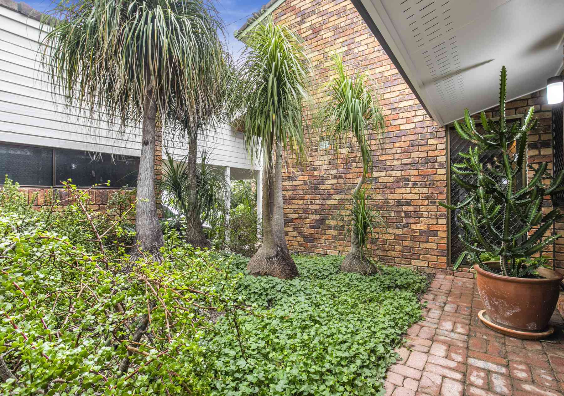 68 Woolley Street, Taringa - Thumbnail 8