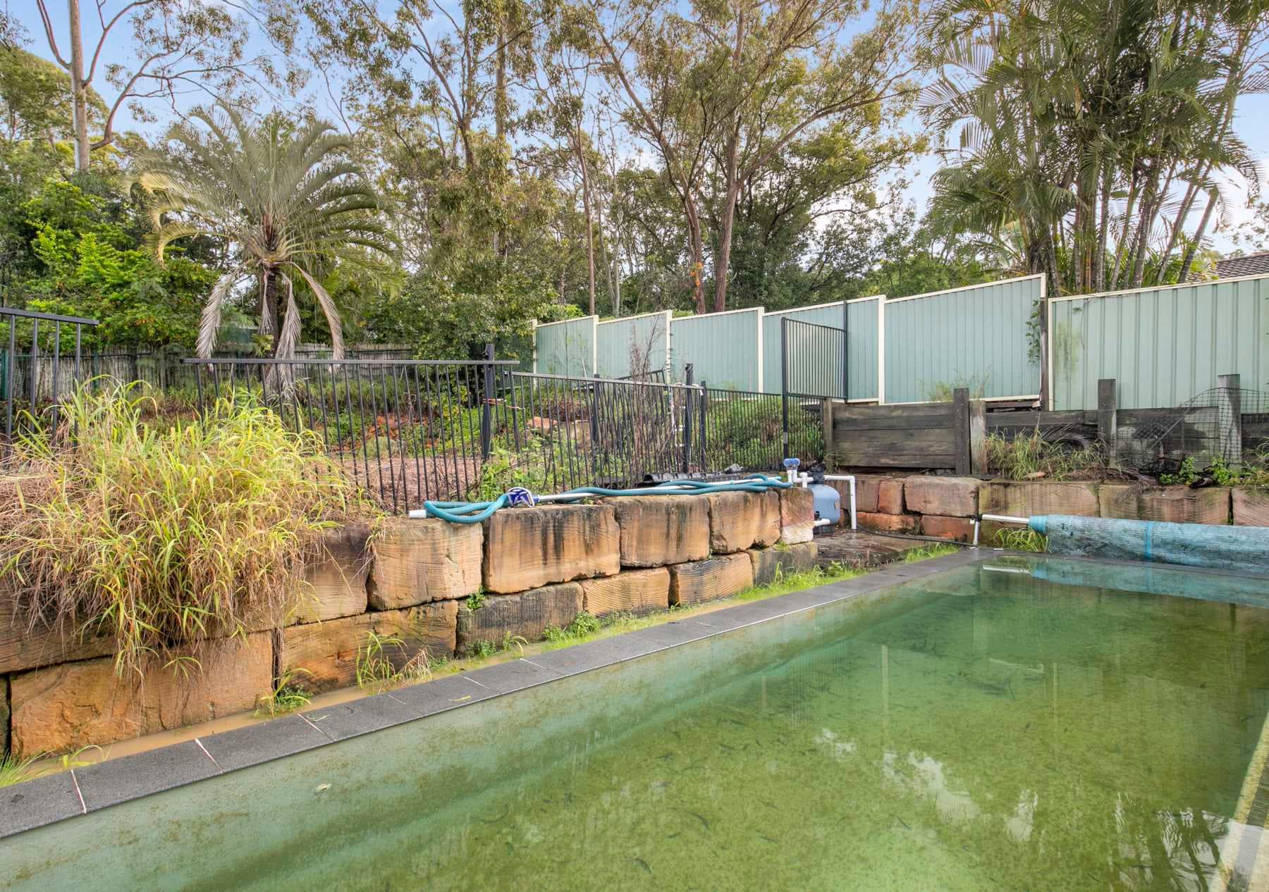 34 Limosa Street, Bellbowrie - Thumbnail 8