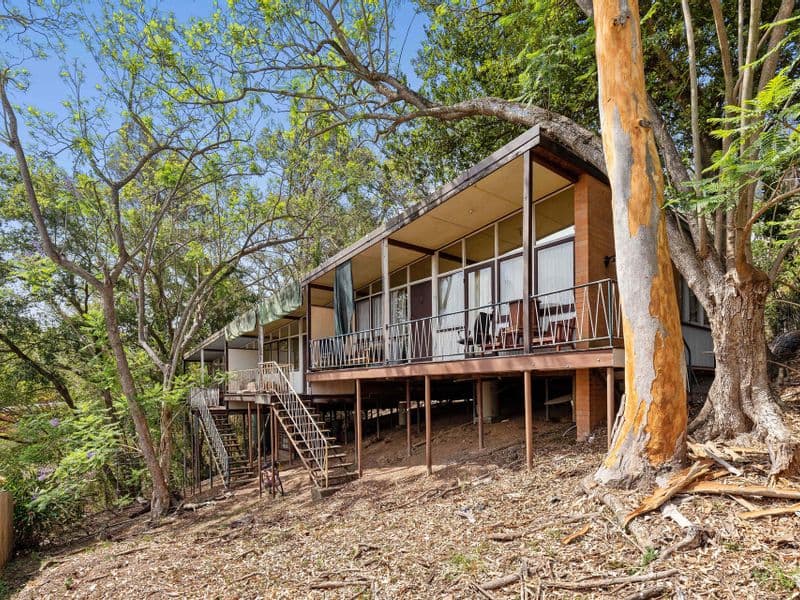 19 Lily Street, Indooroopilly - Thumbnail 6