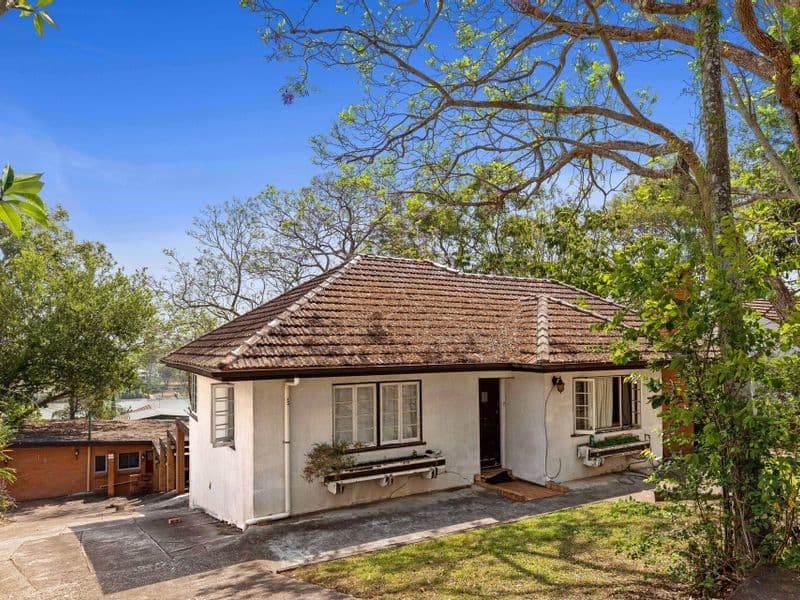 19 Lily Street, Indooroopilly - Thumbnail 5
