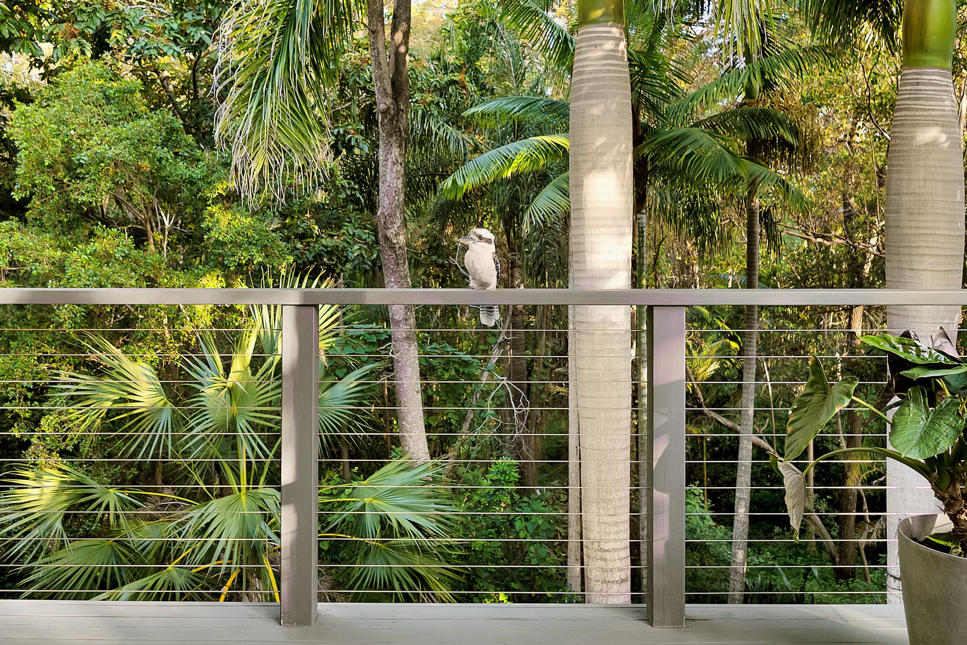 13 Tamarix Street, Chapel Hill - Thumbnail 6