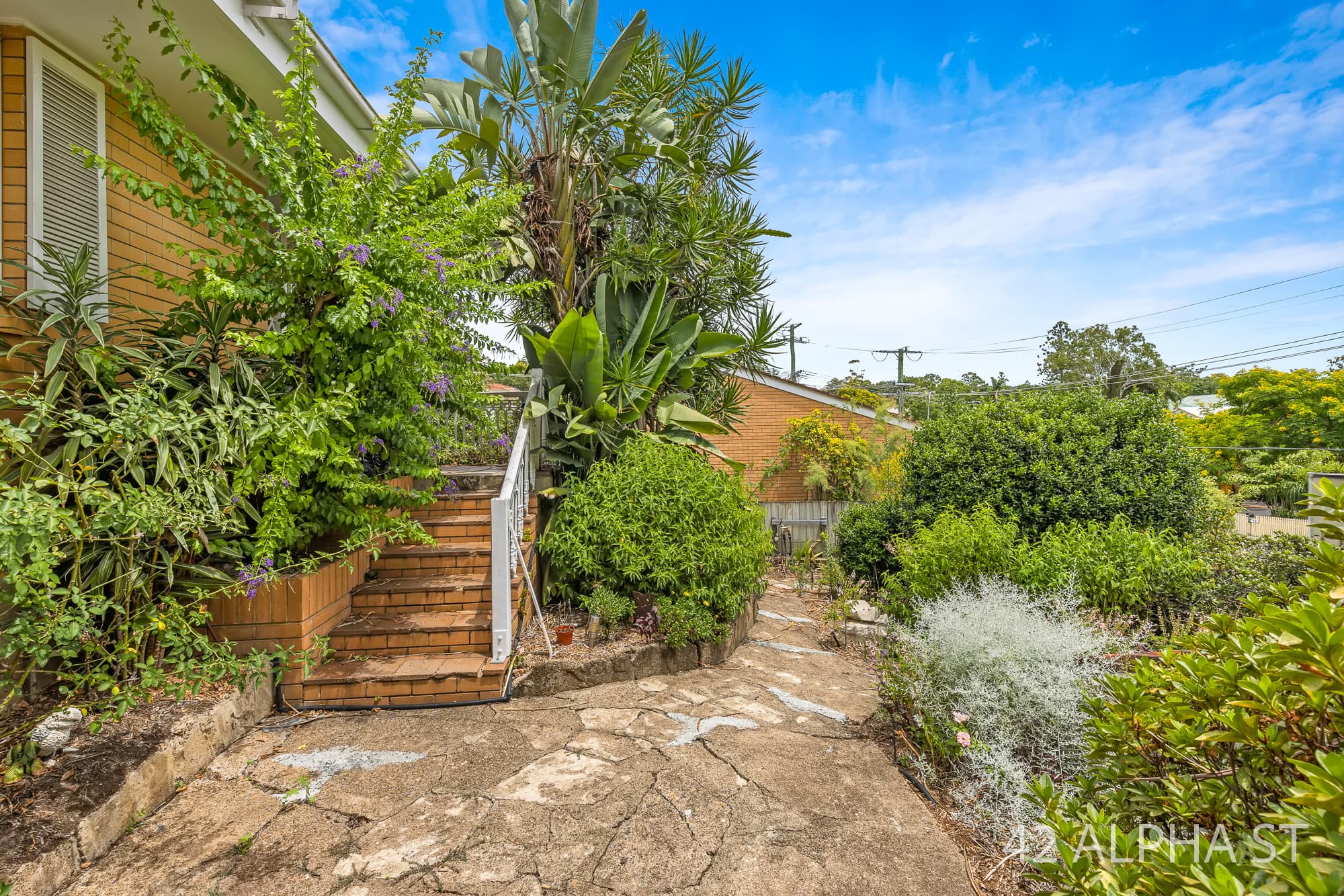 42 Alpha  Street, Taringa - Thumbnail 8