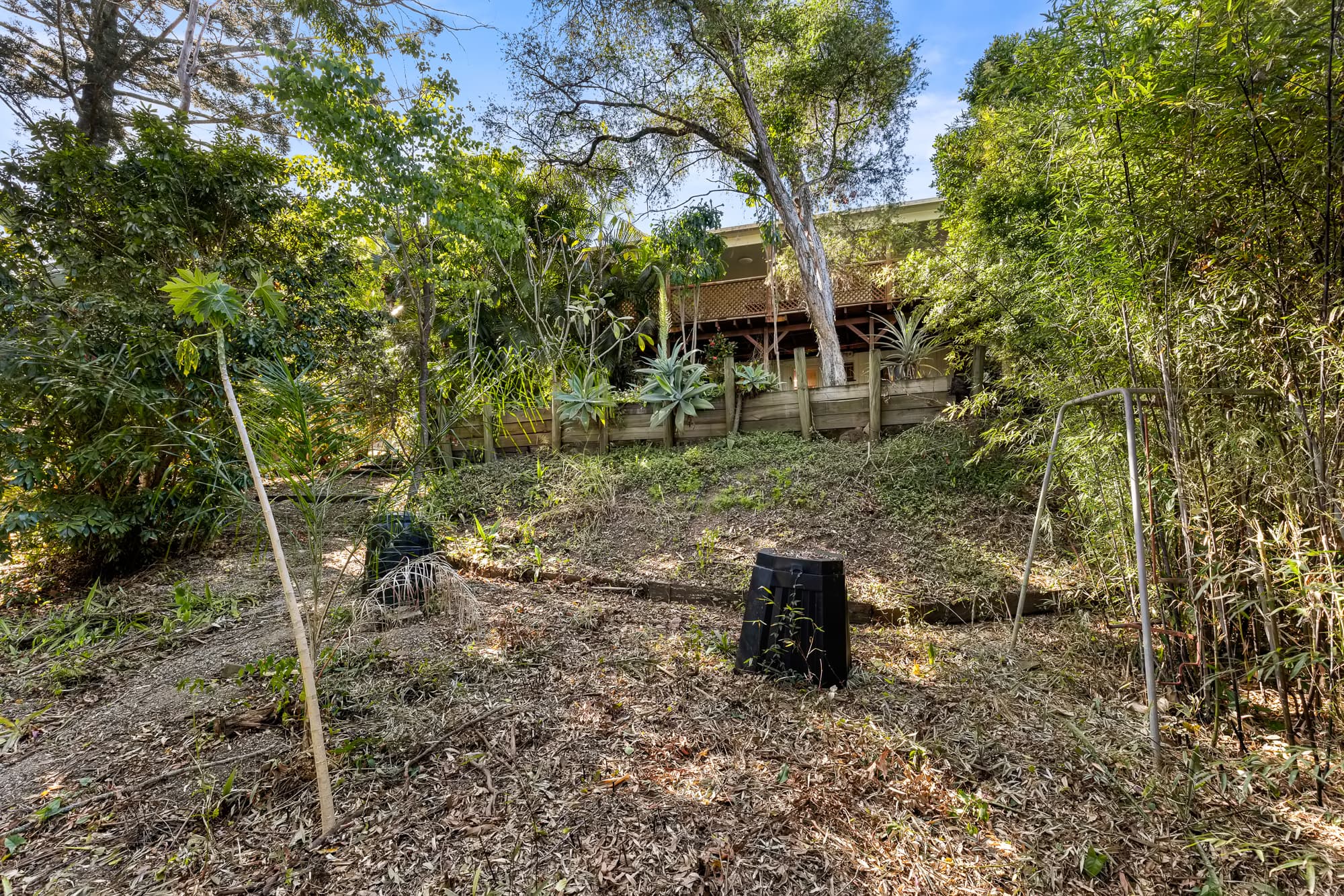 64 Hillsdon Road, Taringa - Thumbnail 4