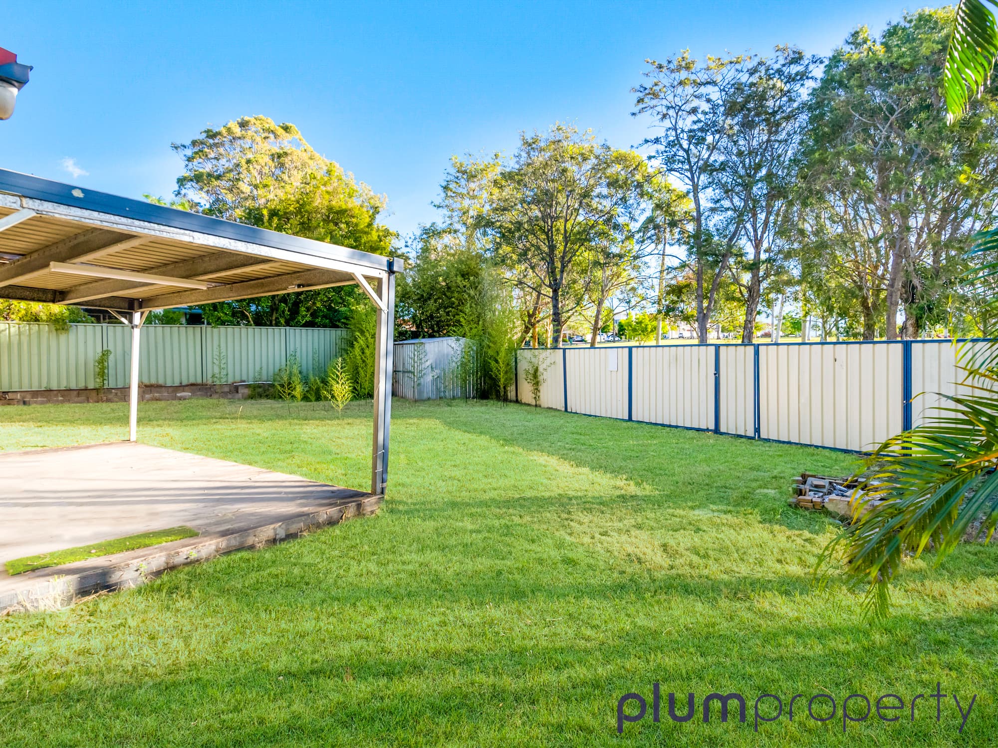 10 Camellia Avenue, Ashmore - Thumbnail 4