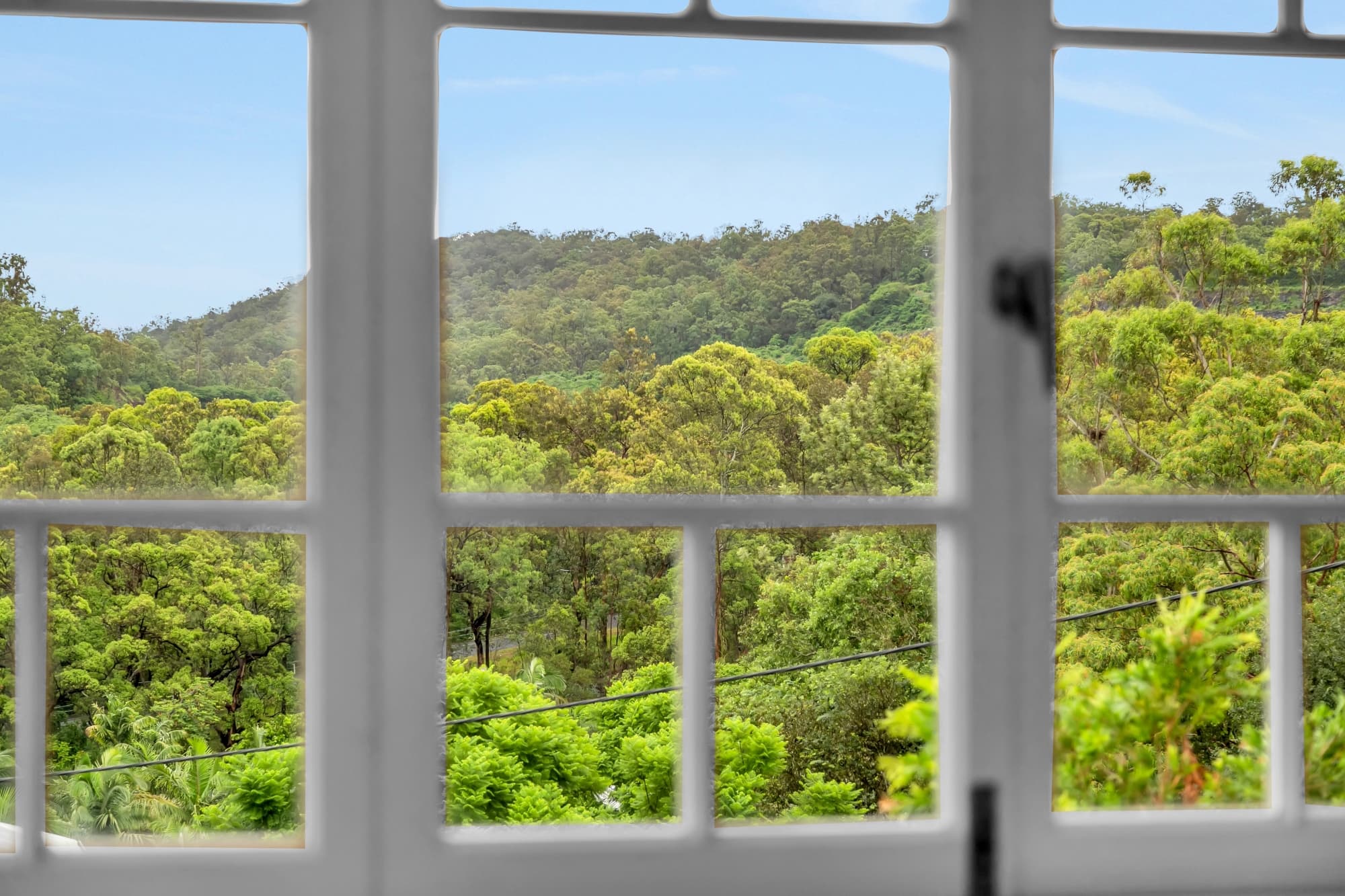 64 Richer Street, Toowong - Thumbnail 3