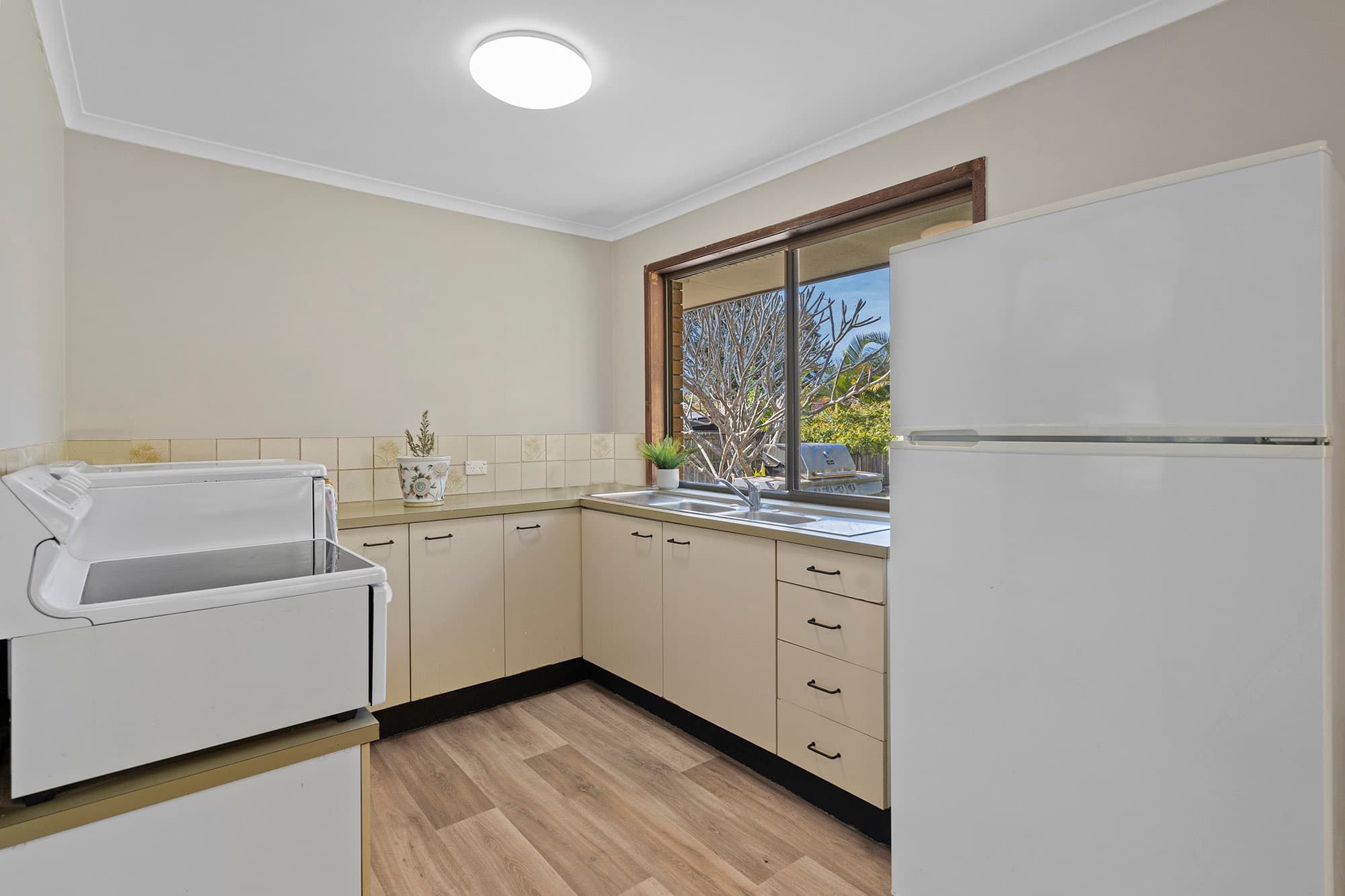 12 Montanus Drive, Bellbowrie - Thumbnail 4