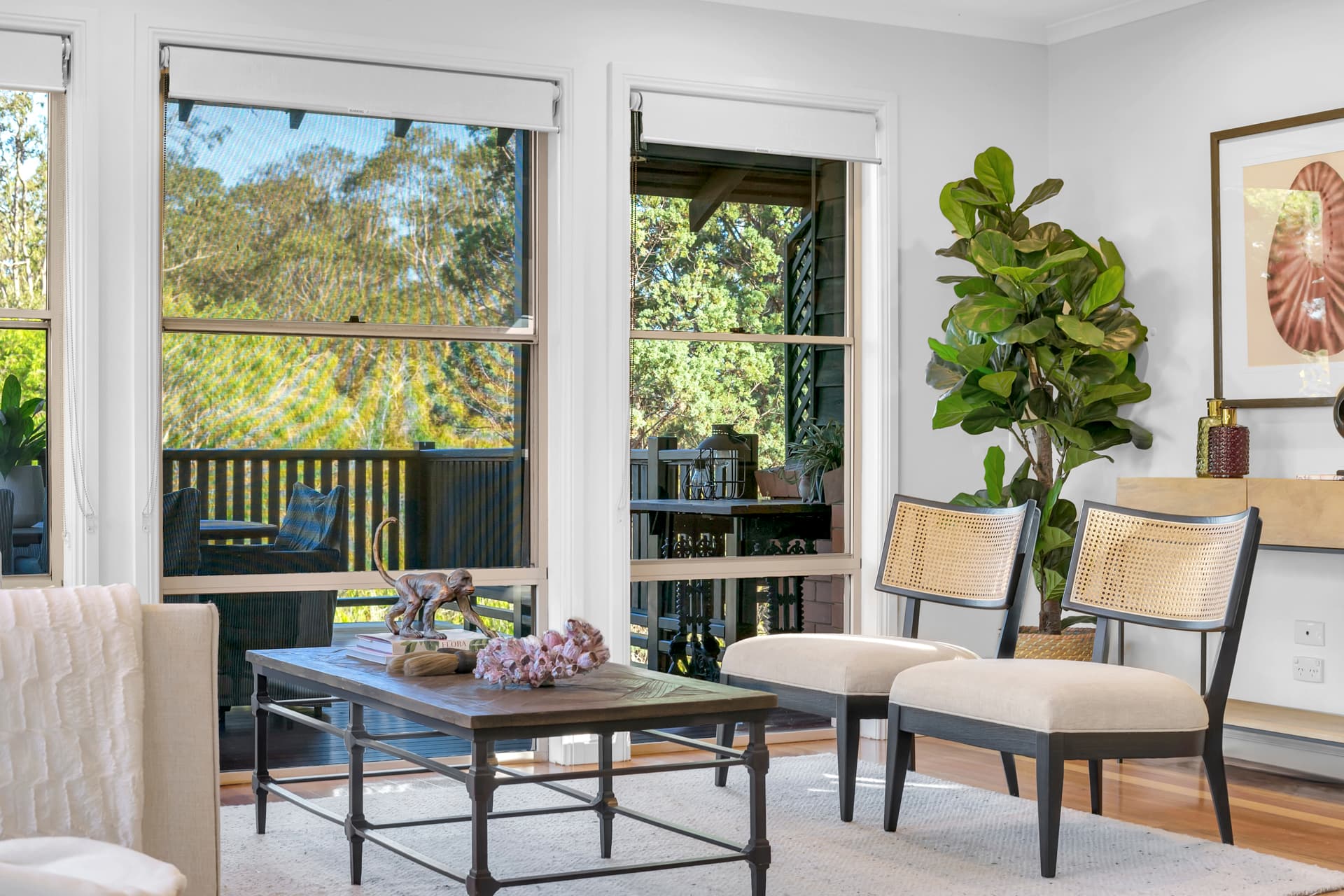 58 Maculata Drive, Chapel Hill - Thumbnail 8